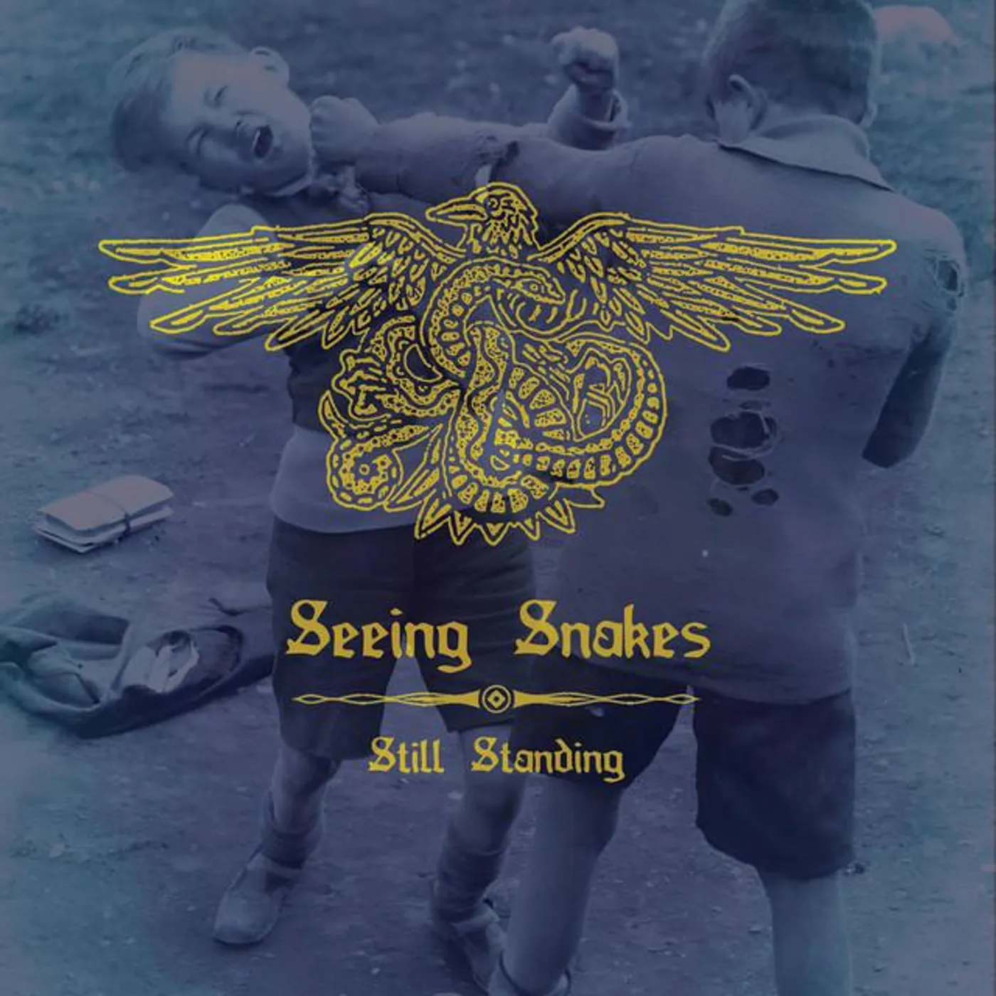 Seeing Snakes
