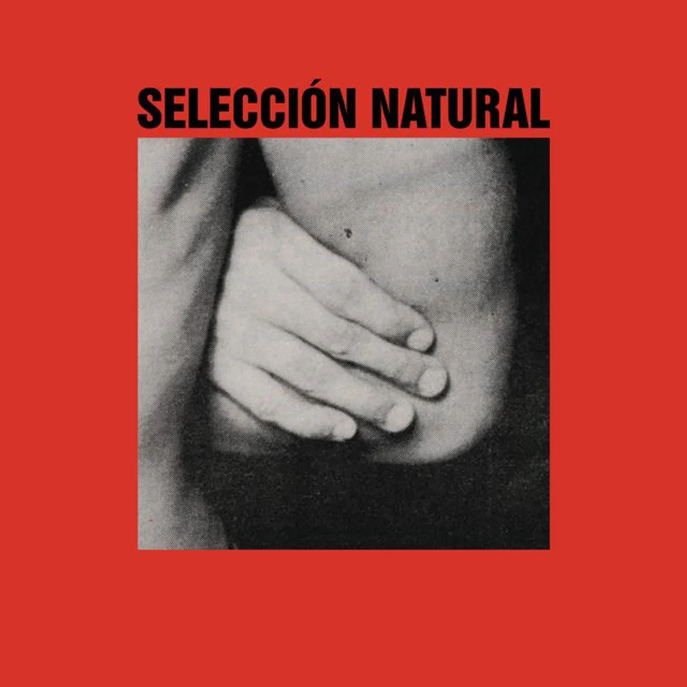 Seleccion Natural