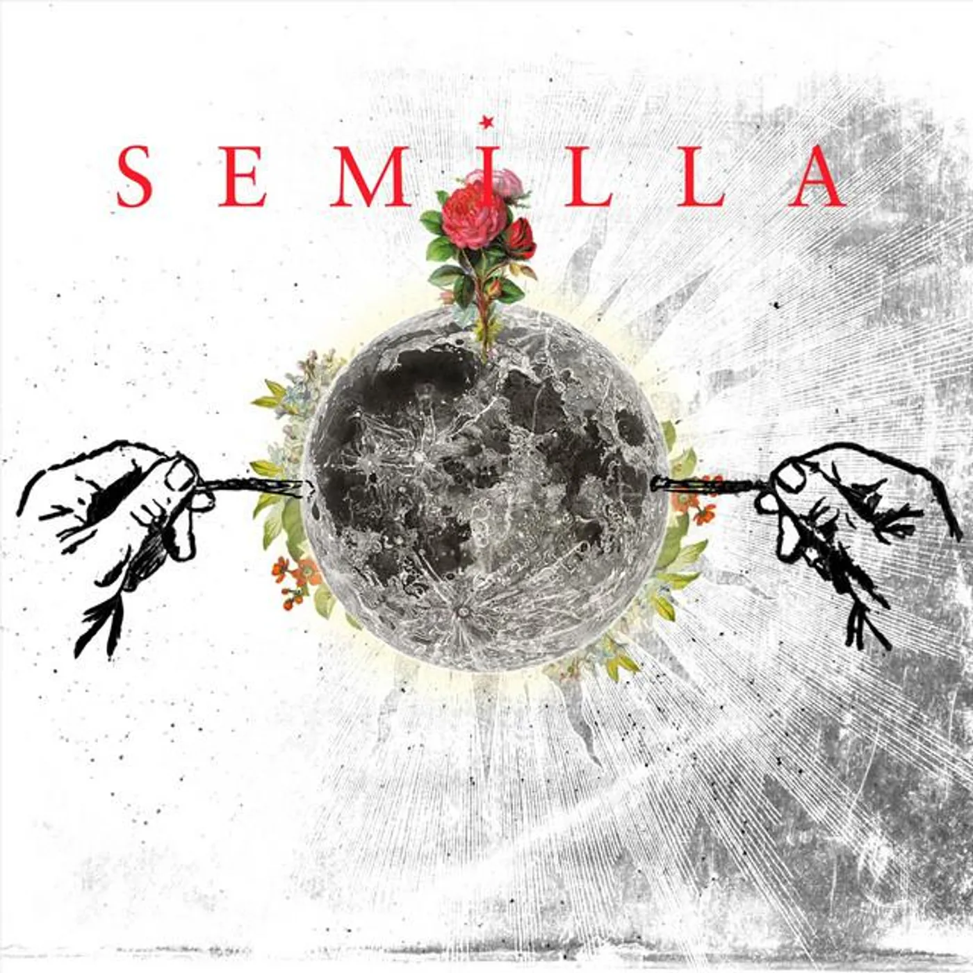 Semilla
