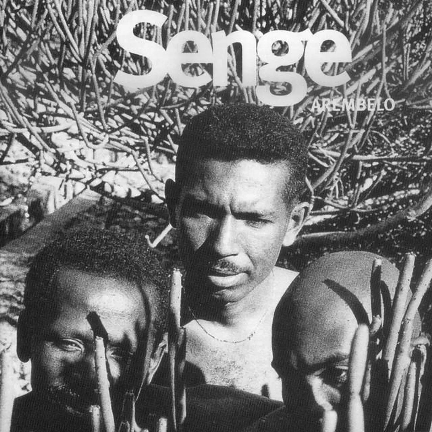 Senge