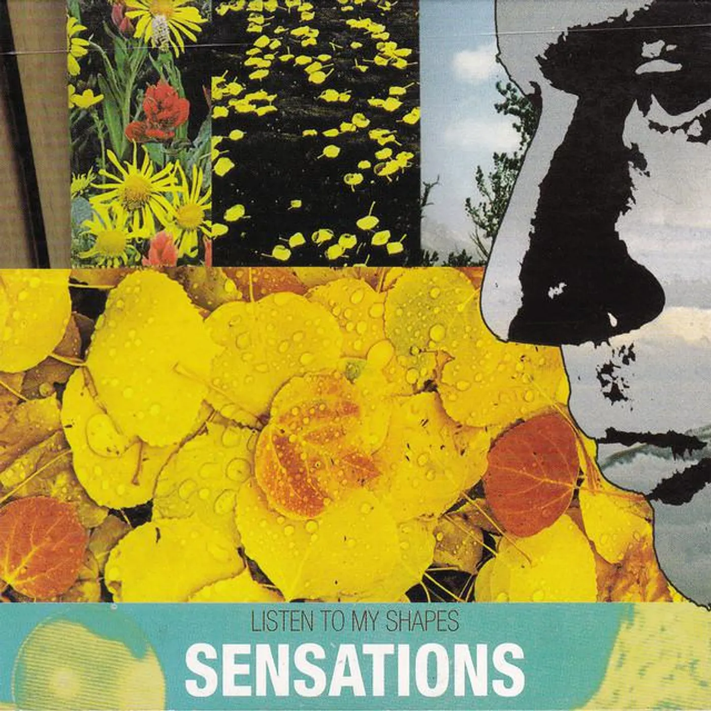 sensations Brand Page