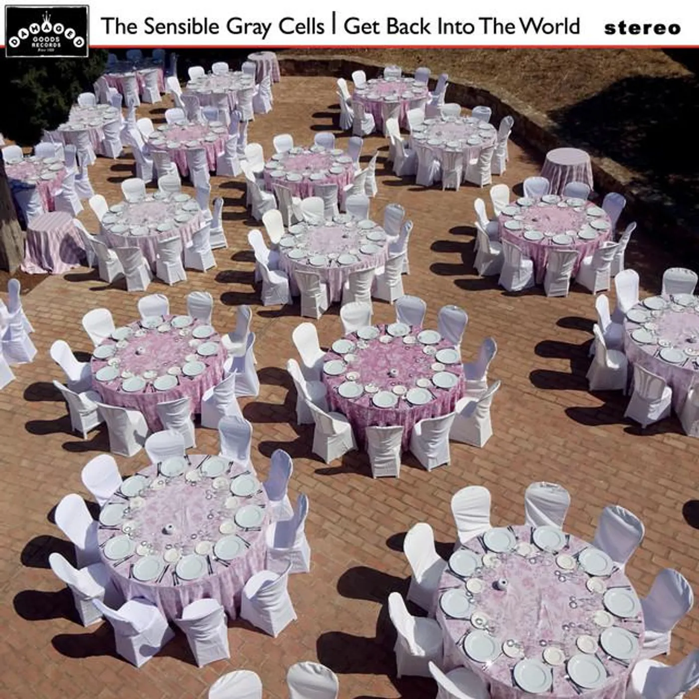 The Sensible Gray Cells Brand Page