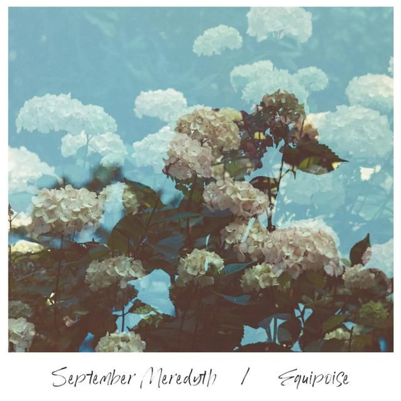 September Meredyth