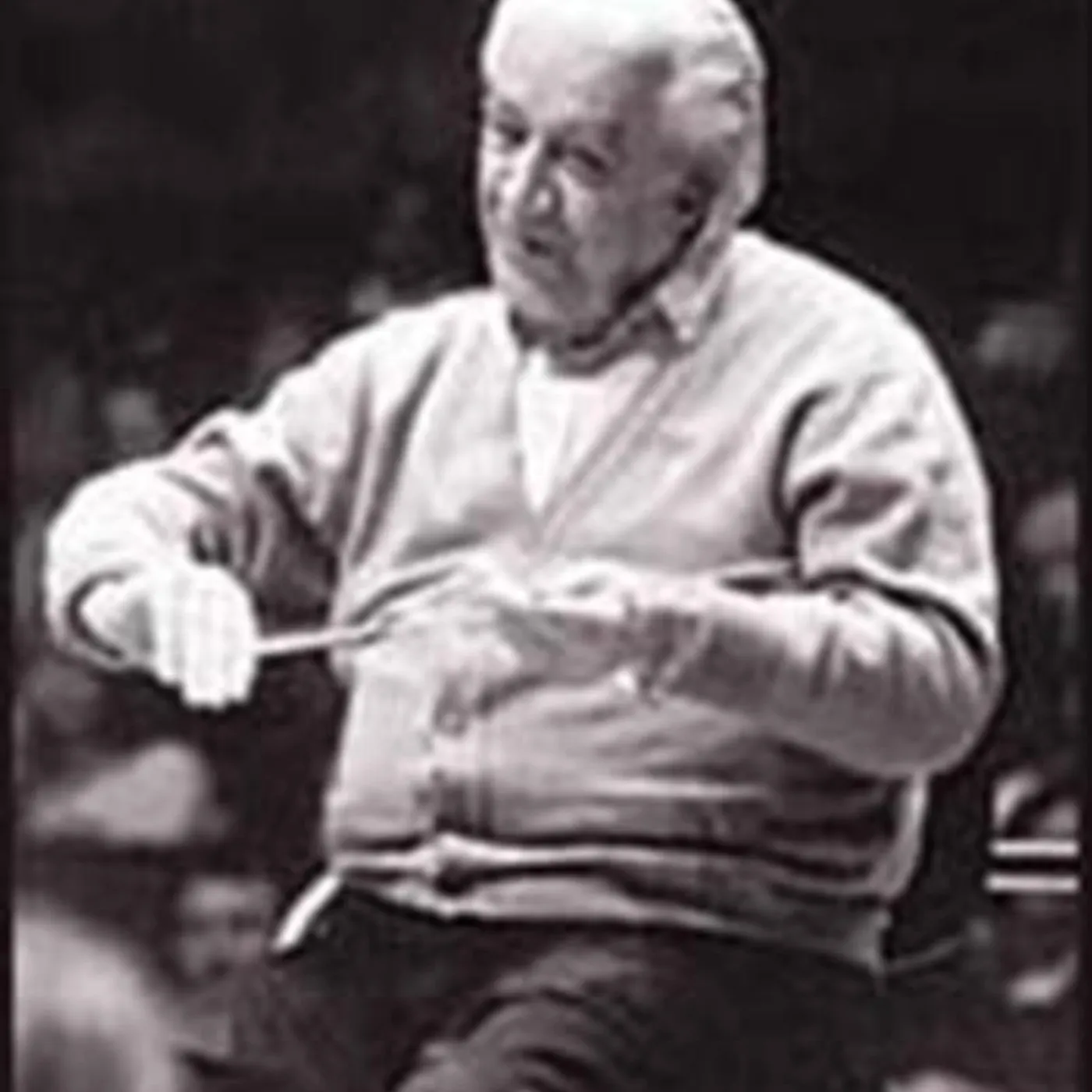 Sergiu Celibidache Brand Page