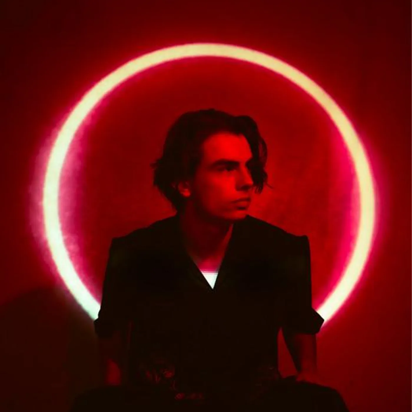 SH Gemini Brand Page