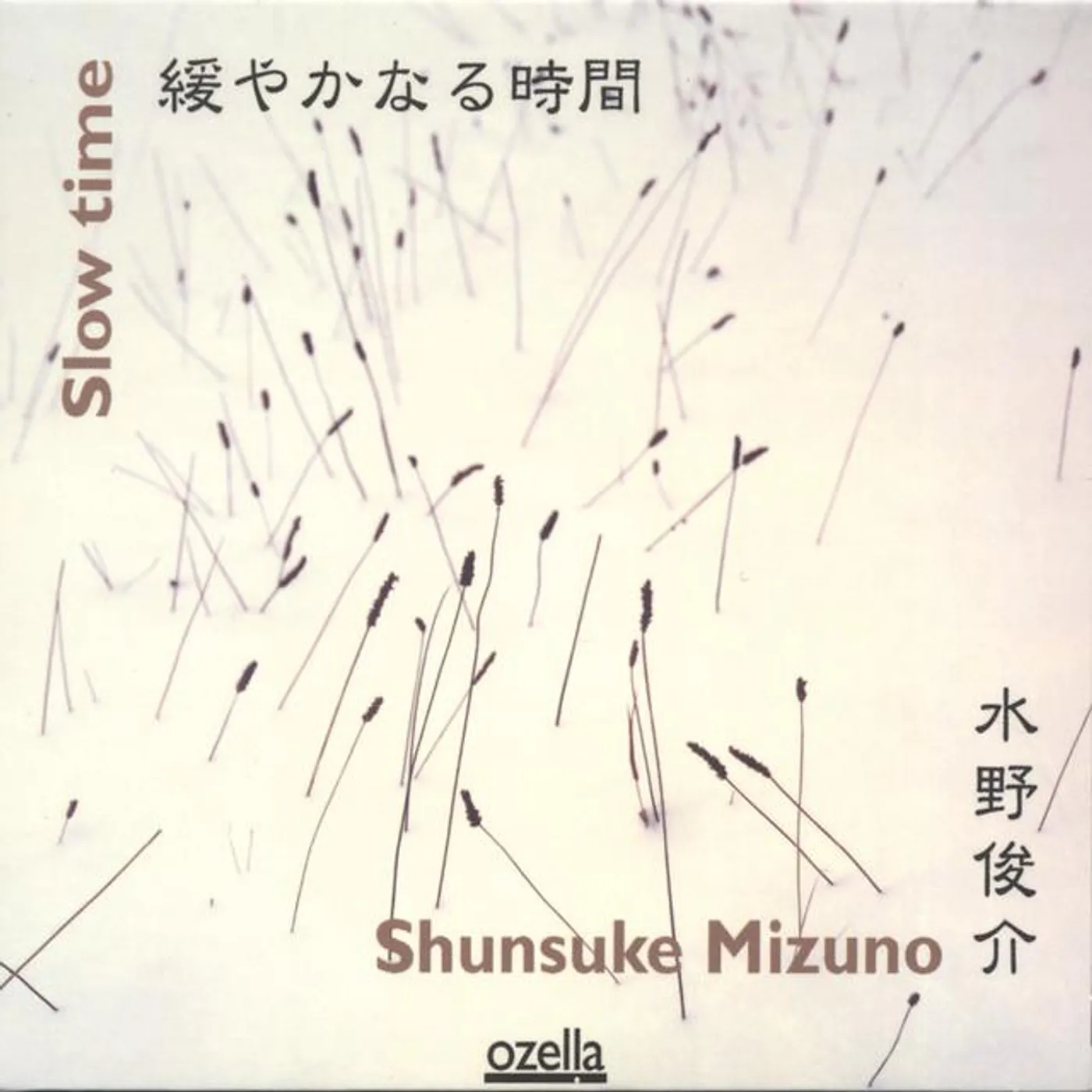 Shunsuke Mizuno