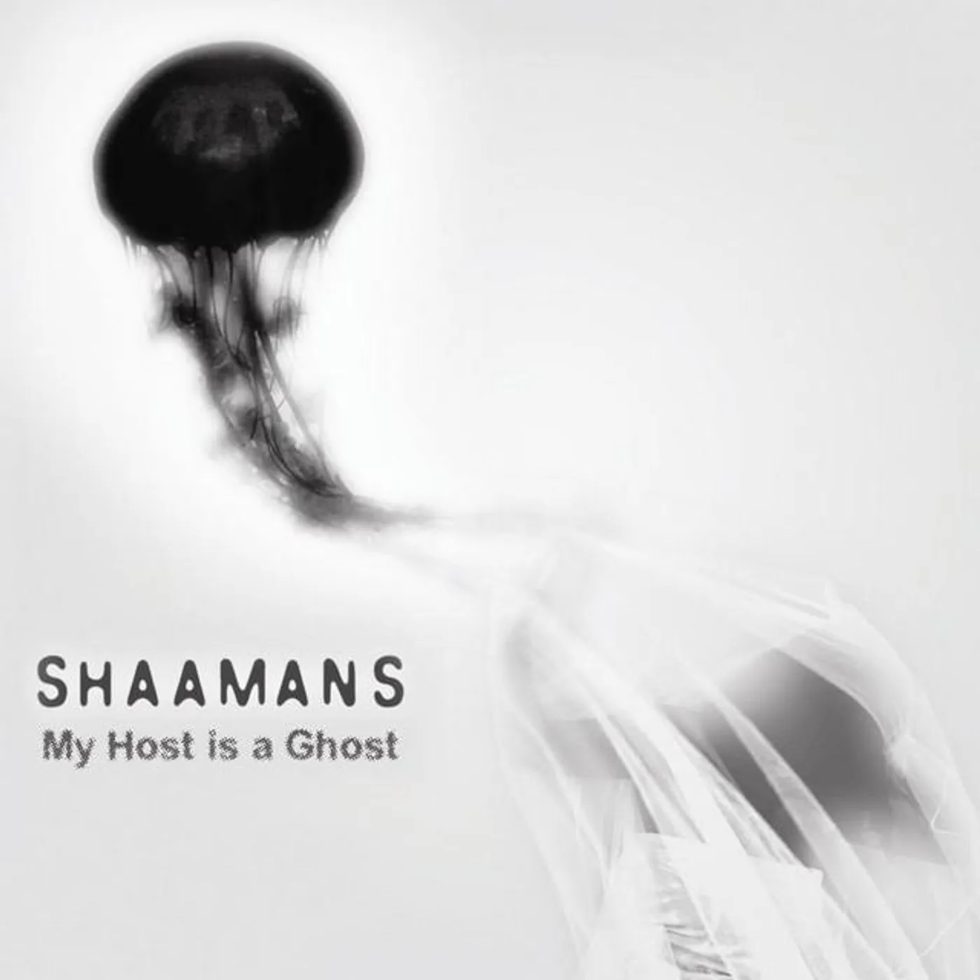 Shaamans Brand Page