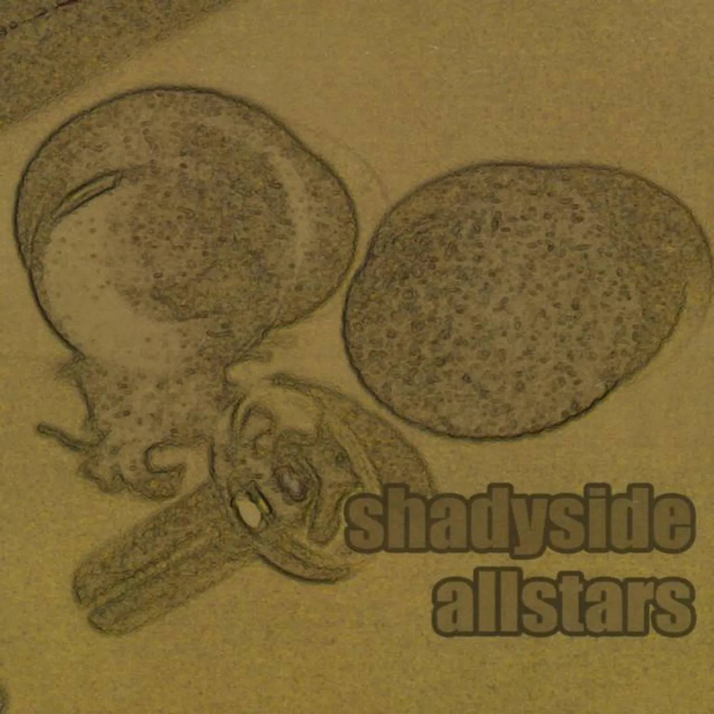 Shadyside Allstars Brand Page
