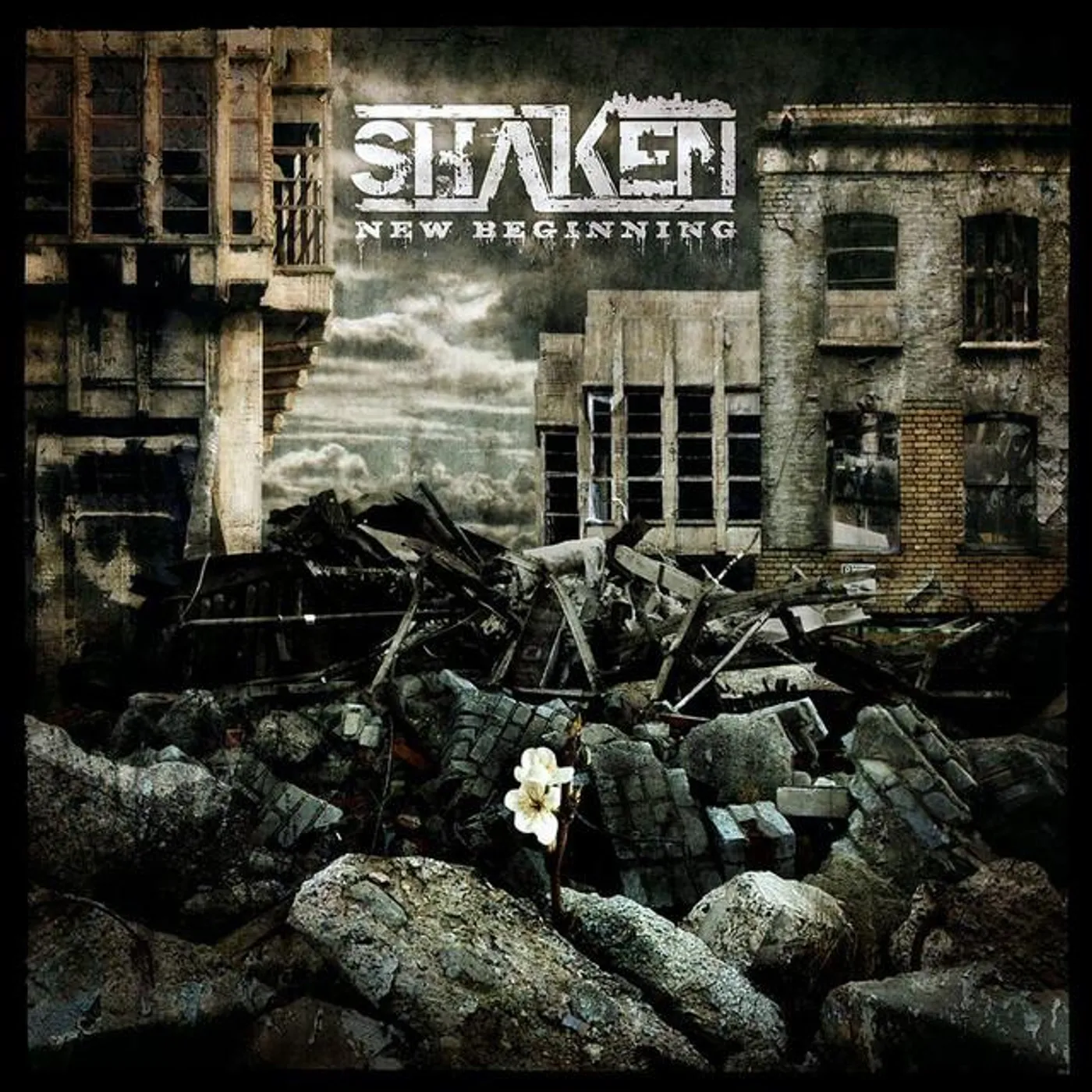 Shaken Brand Page