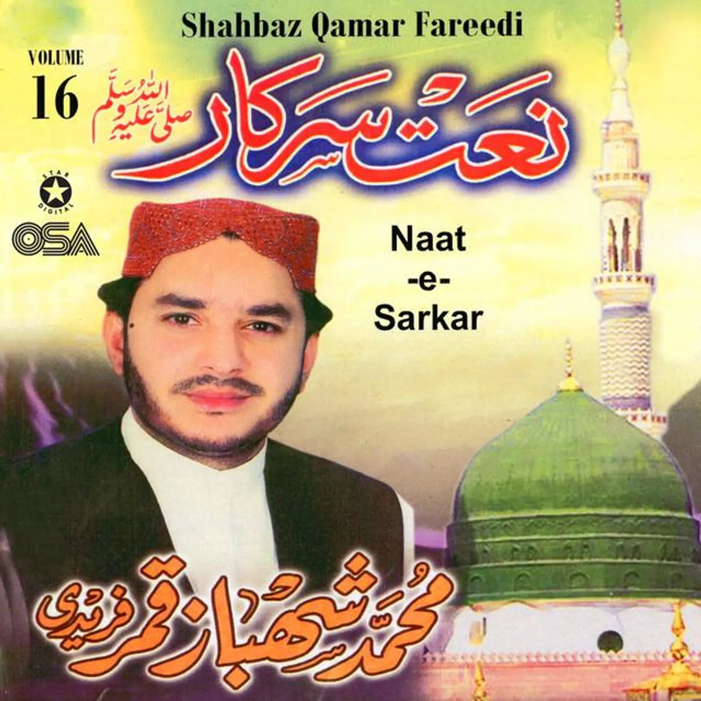 Shahbaz Qamar Fareedi