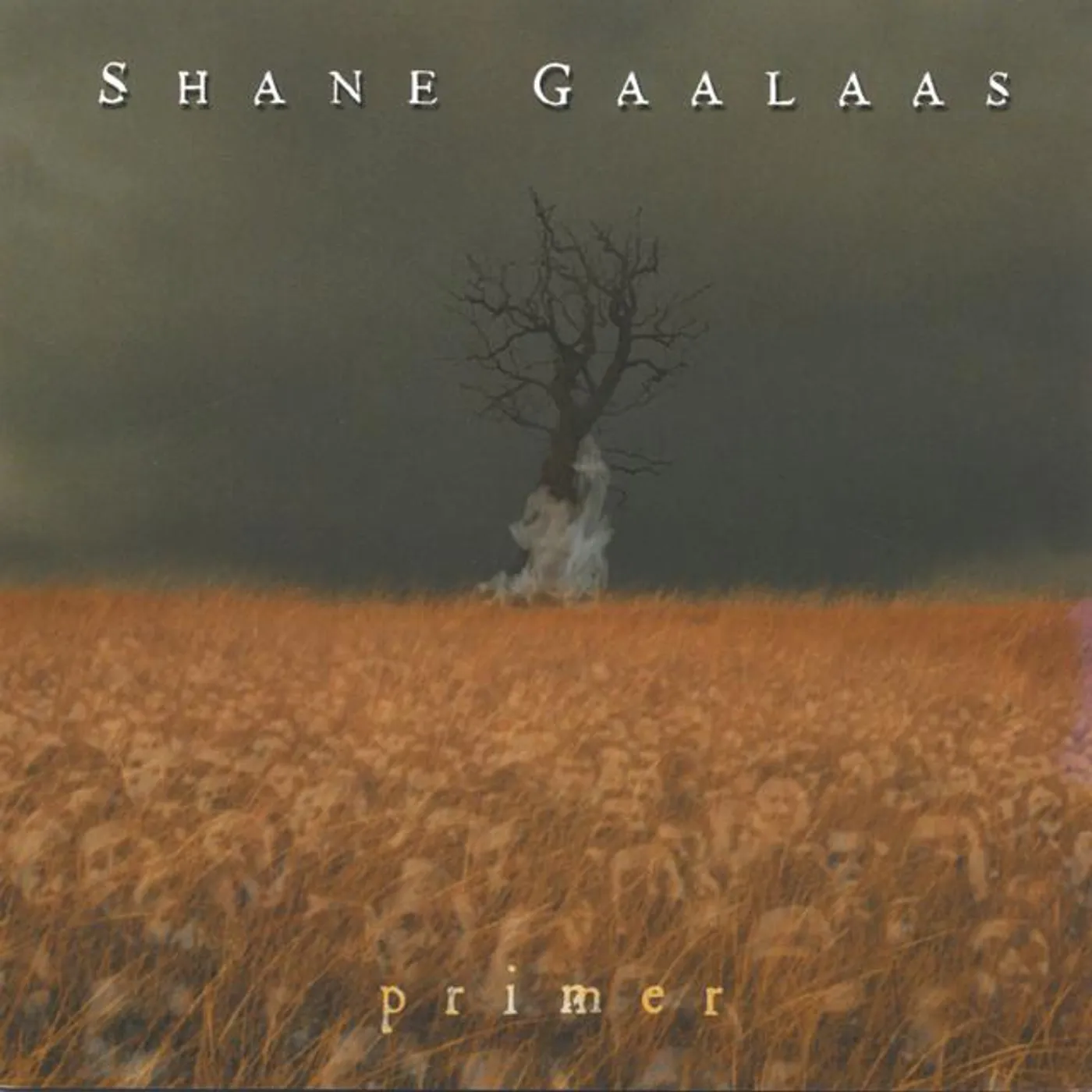 Shane Gaalaas Brand Page