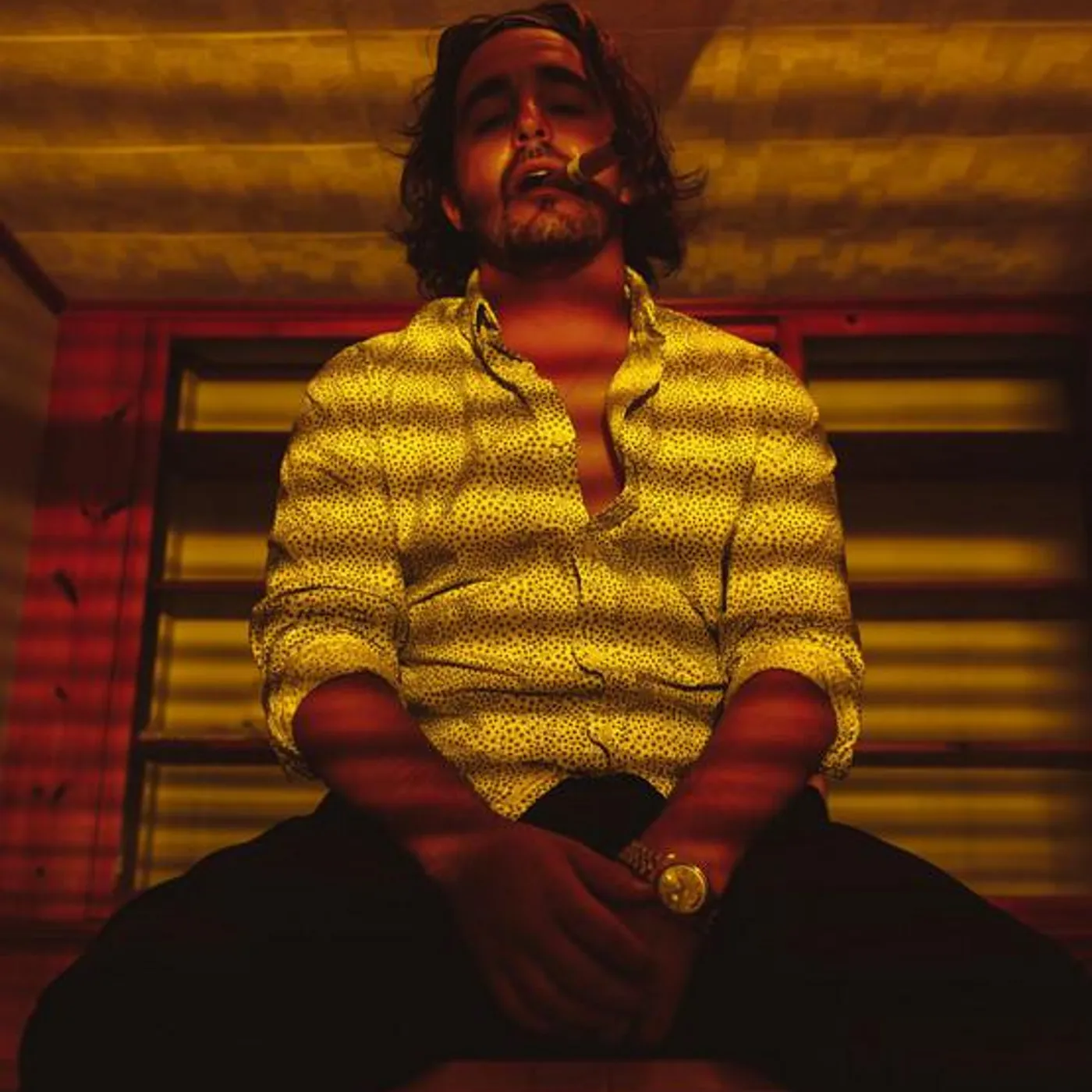 Shane Reis Brand Page