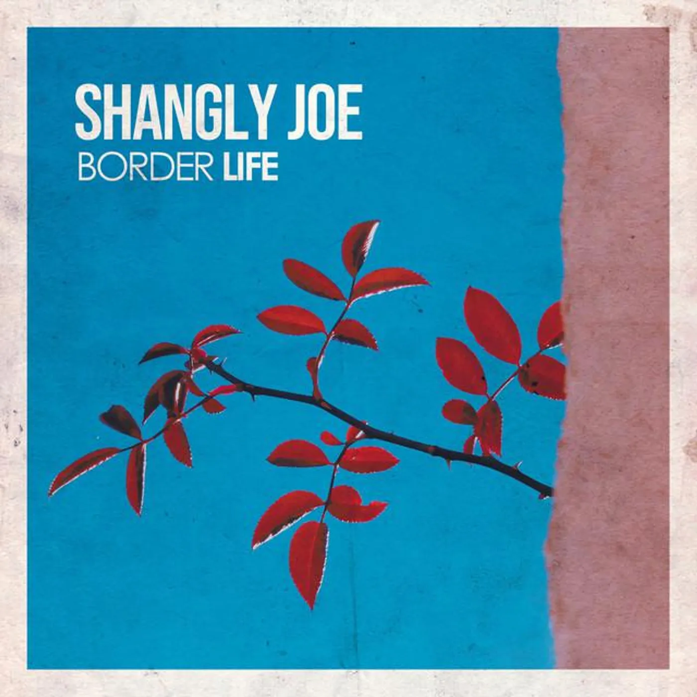 Shangly Joe Brand Page