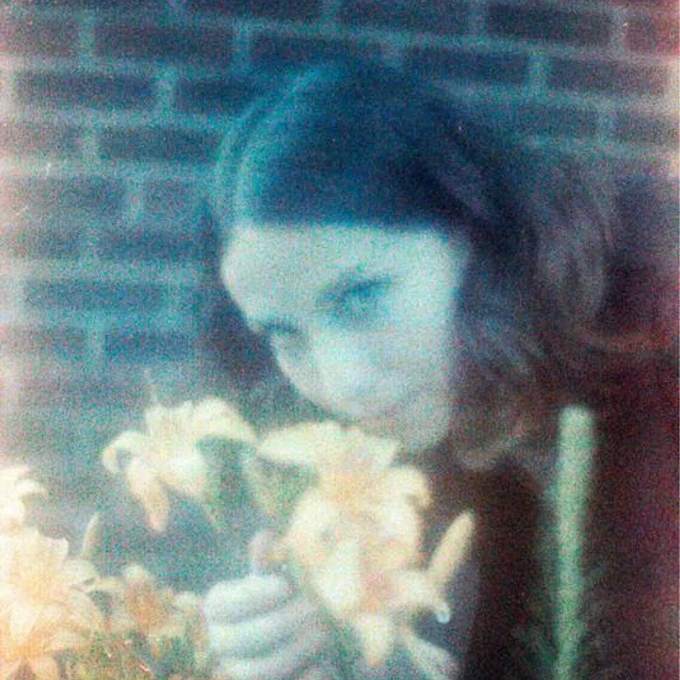 Sharon Silva Brand Page