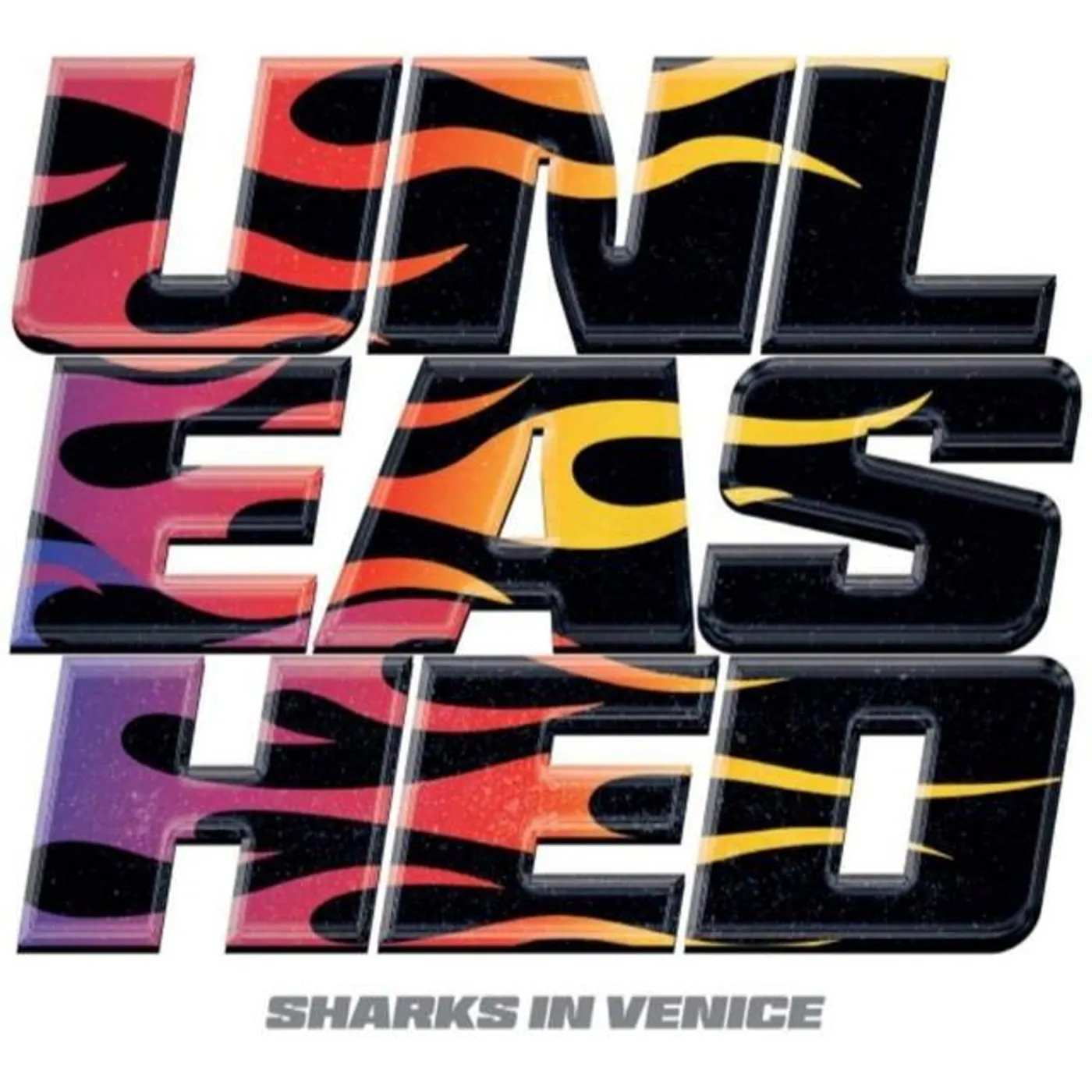 Sharks In Venice