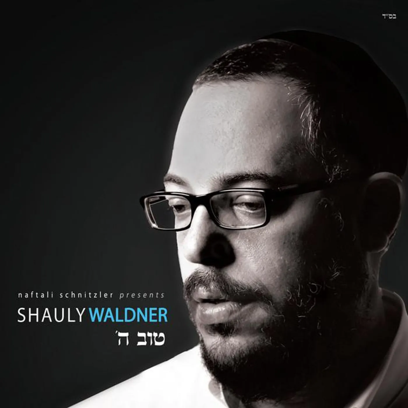 Shauly Waldner
