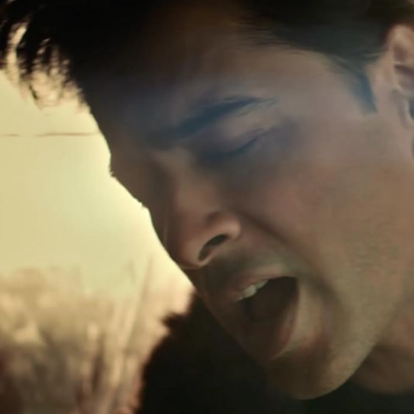 Shehzad Roy Brand Page