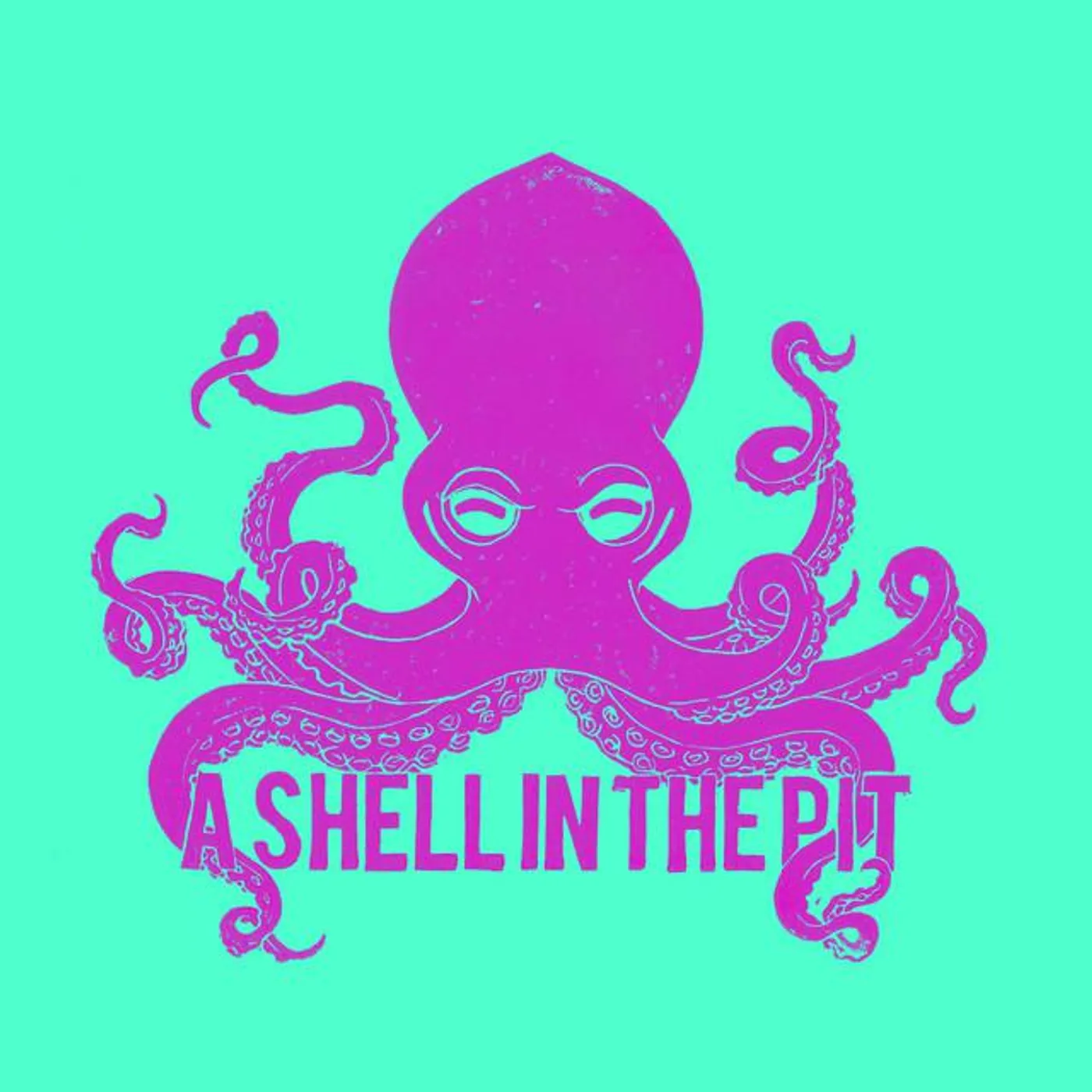 A Shell In The Pit
