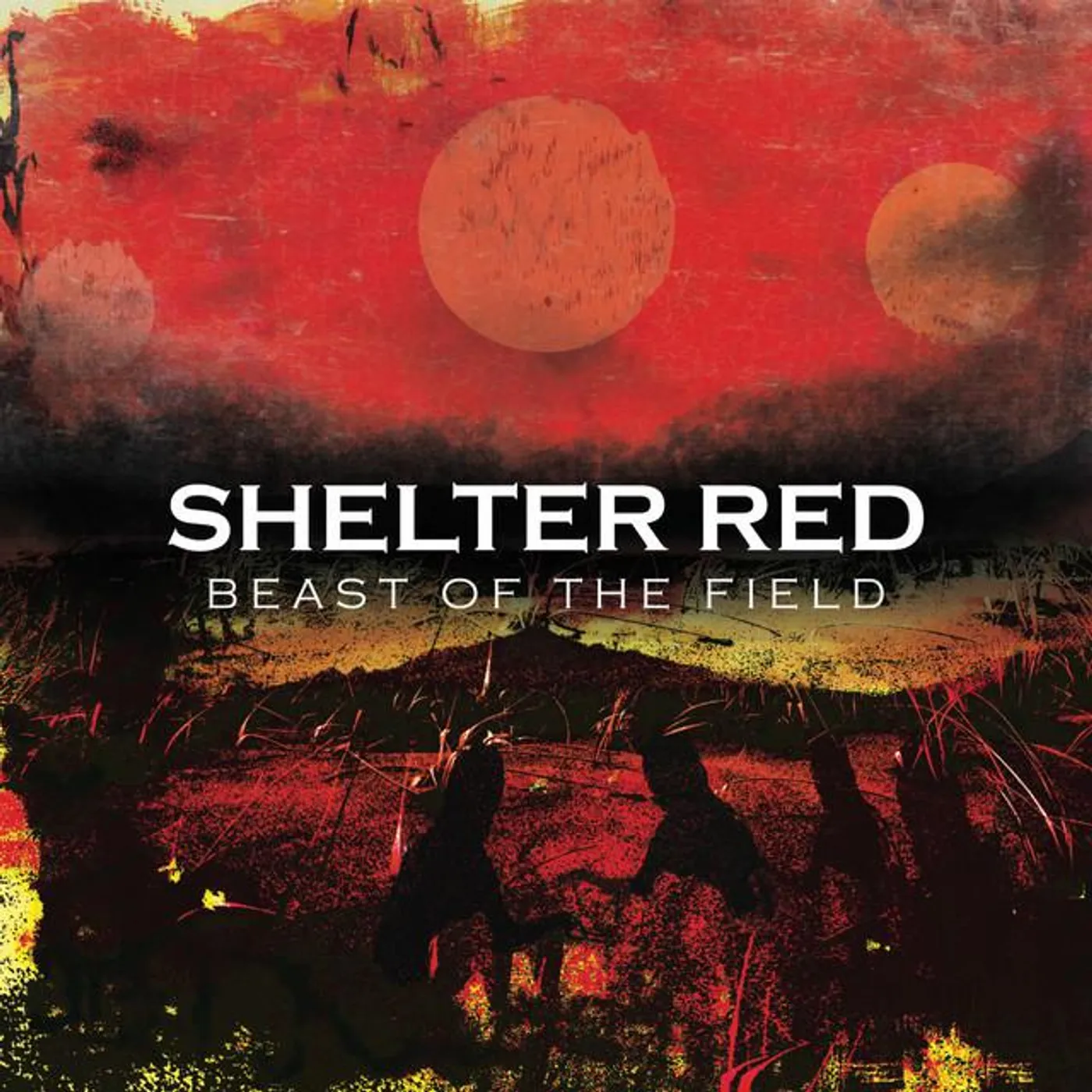 Shelter Red Brand Page