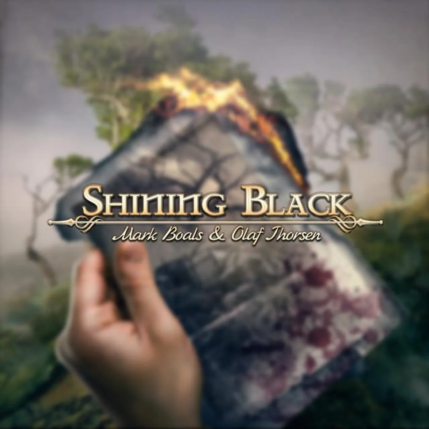 Shining Black Brand Page