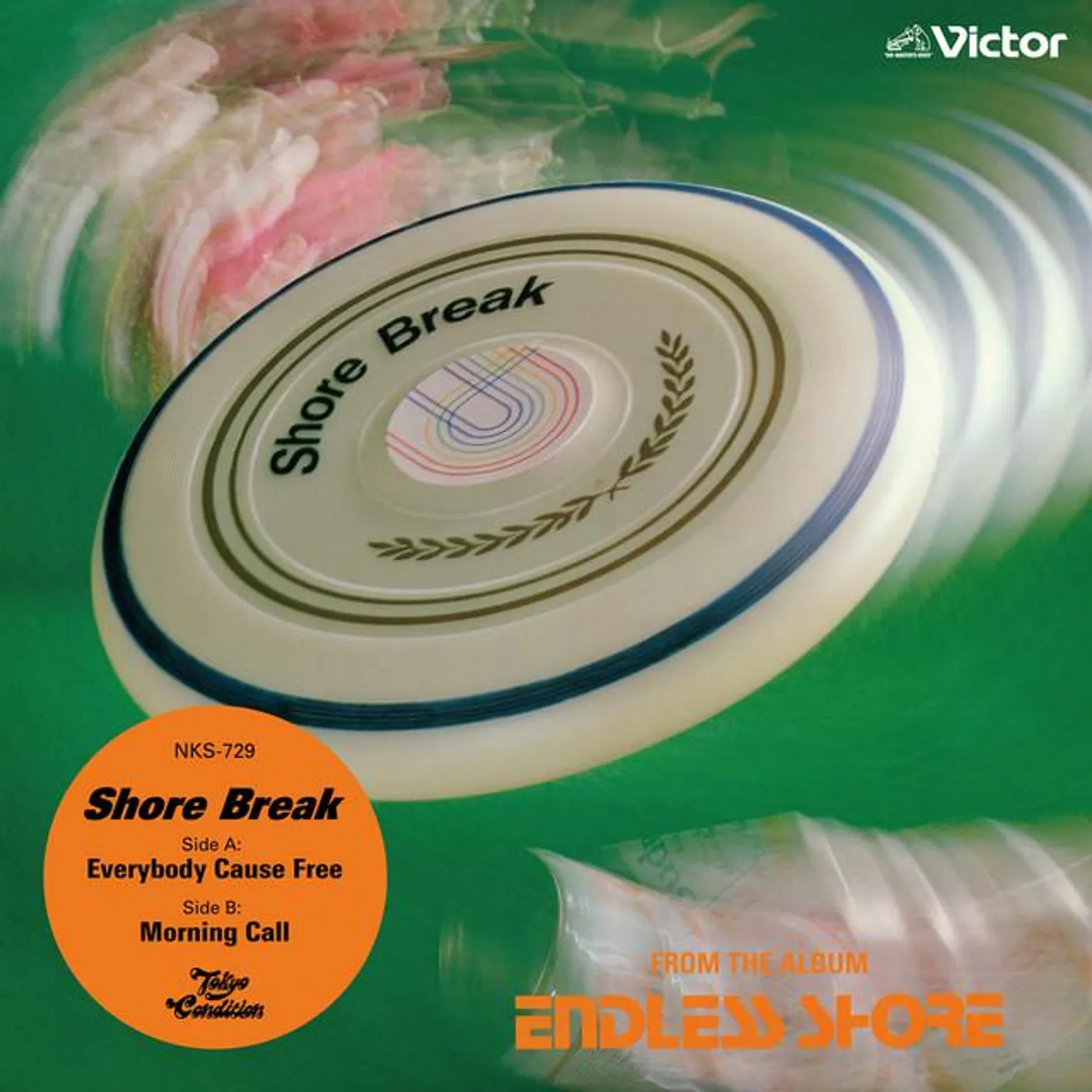 Shore Break