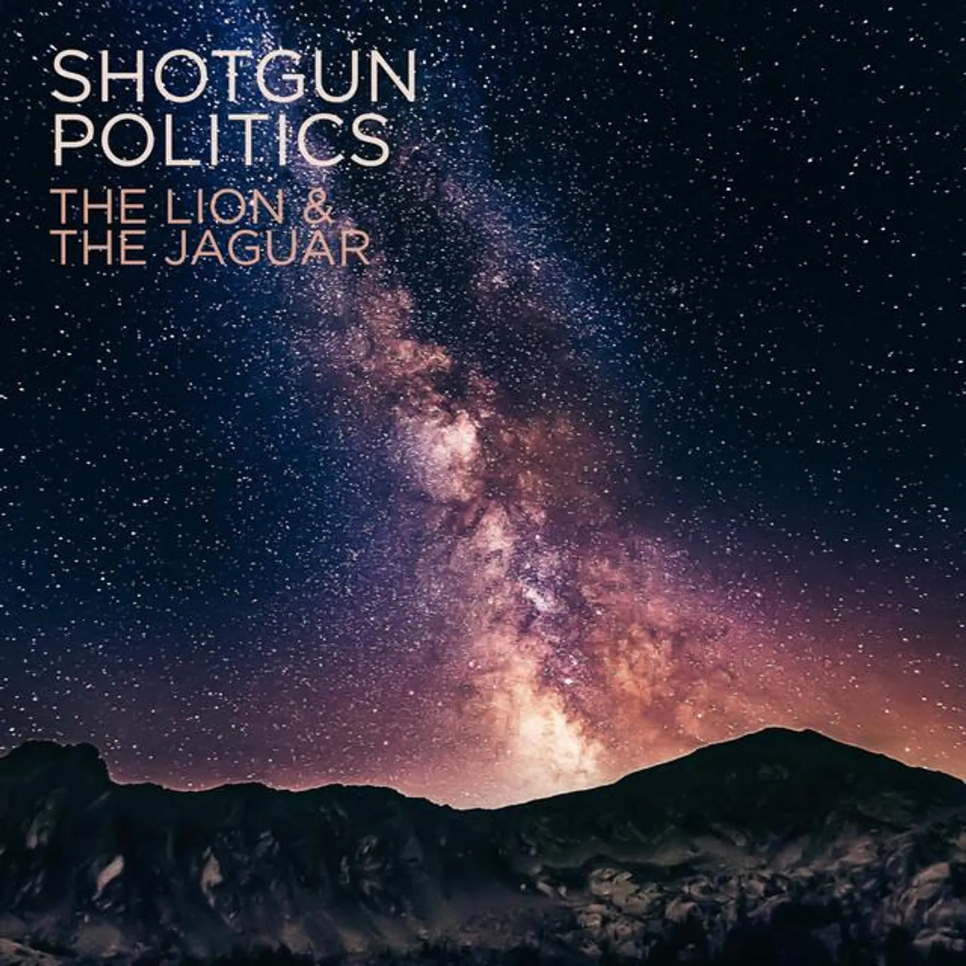 Shotgun Politics