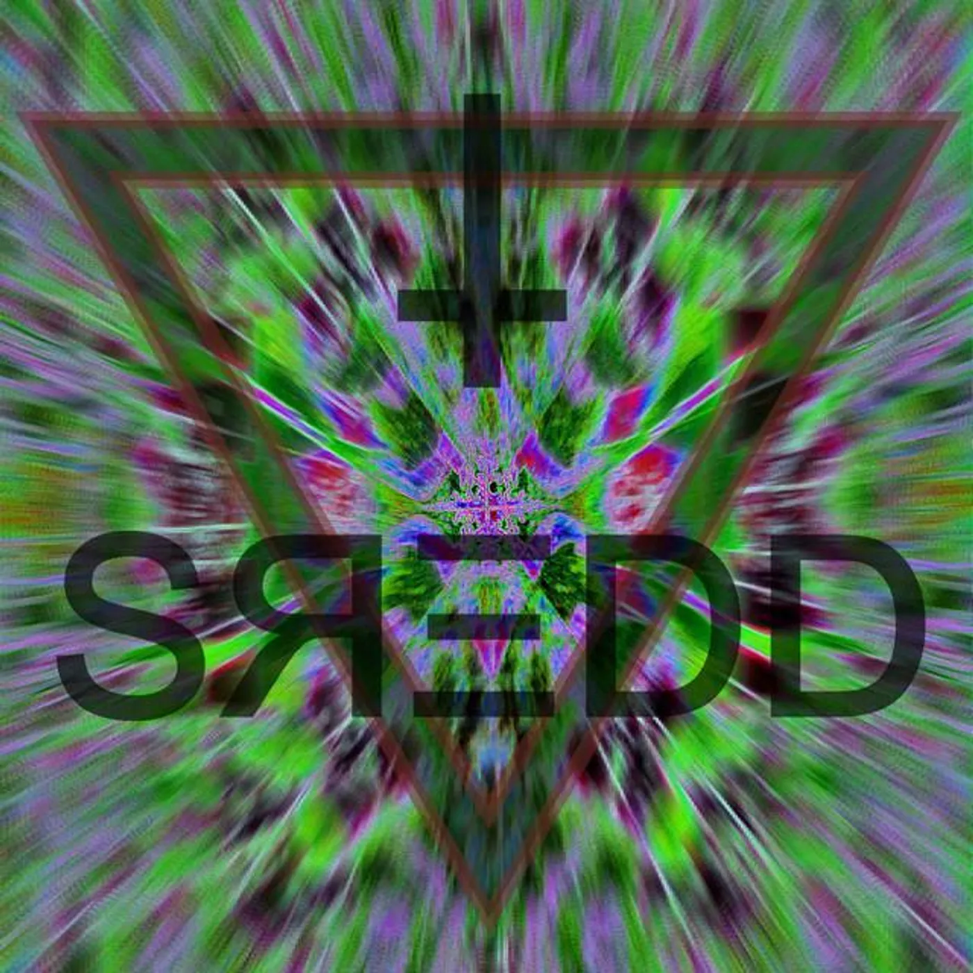 Shredd!