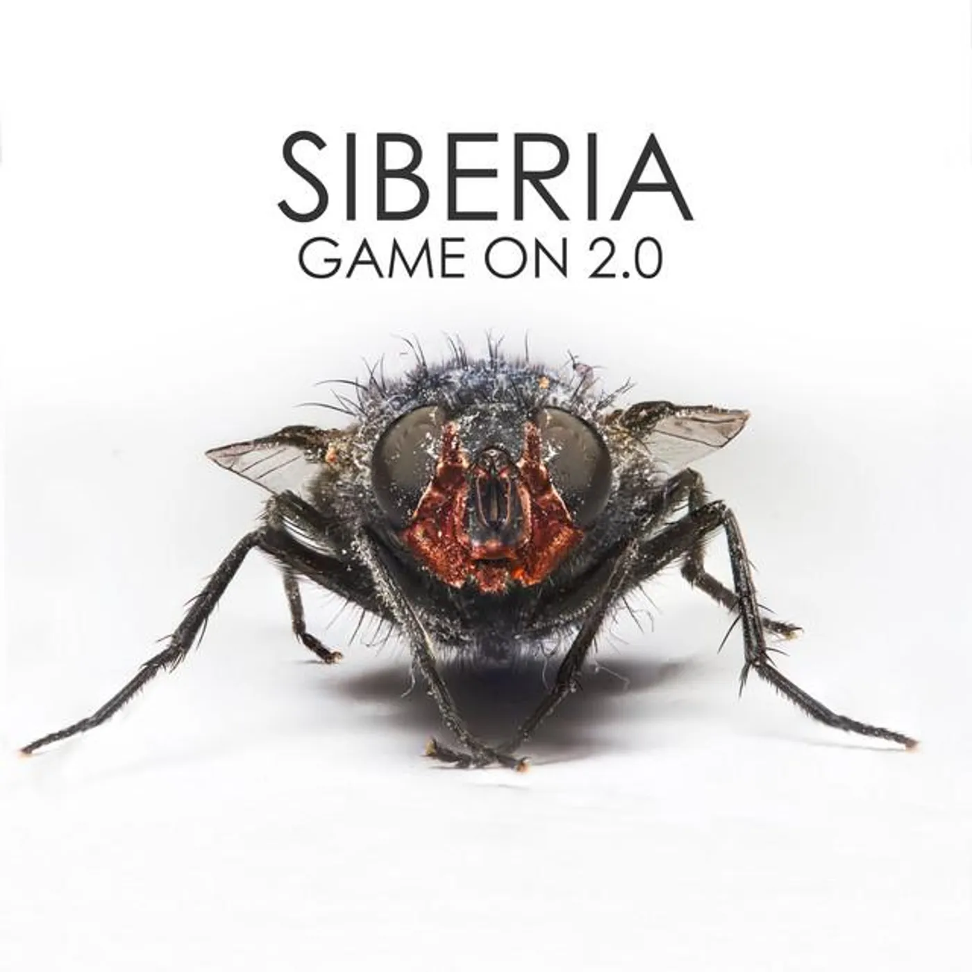 Siberia Brand Page