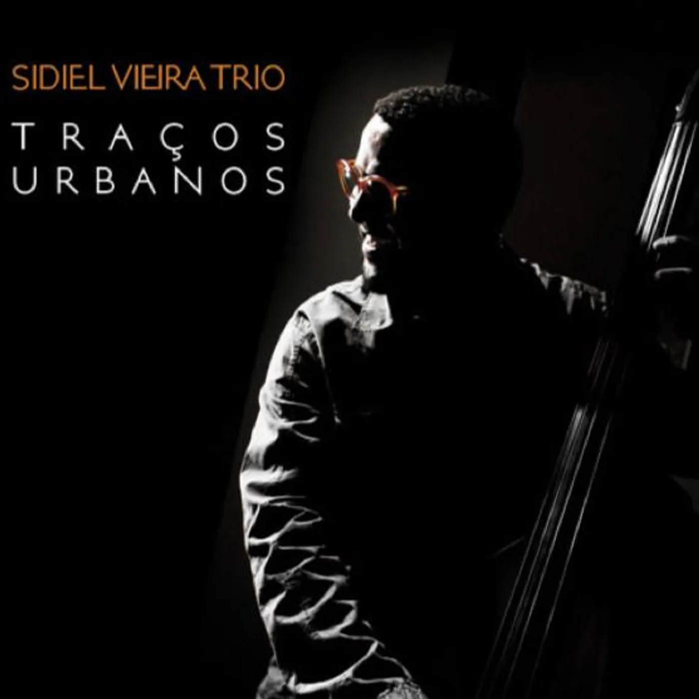 Sidiel Vieira Brand Page