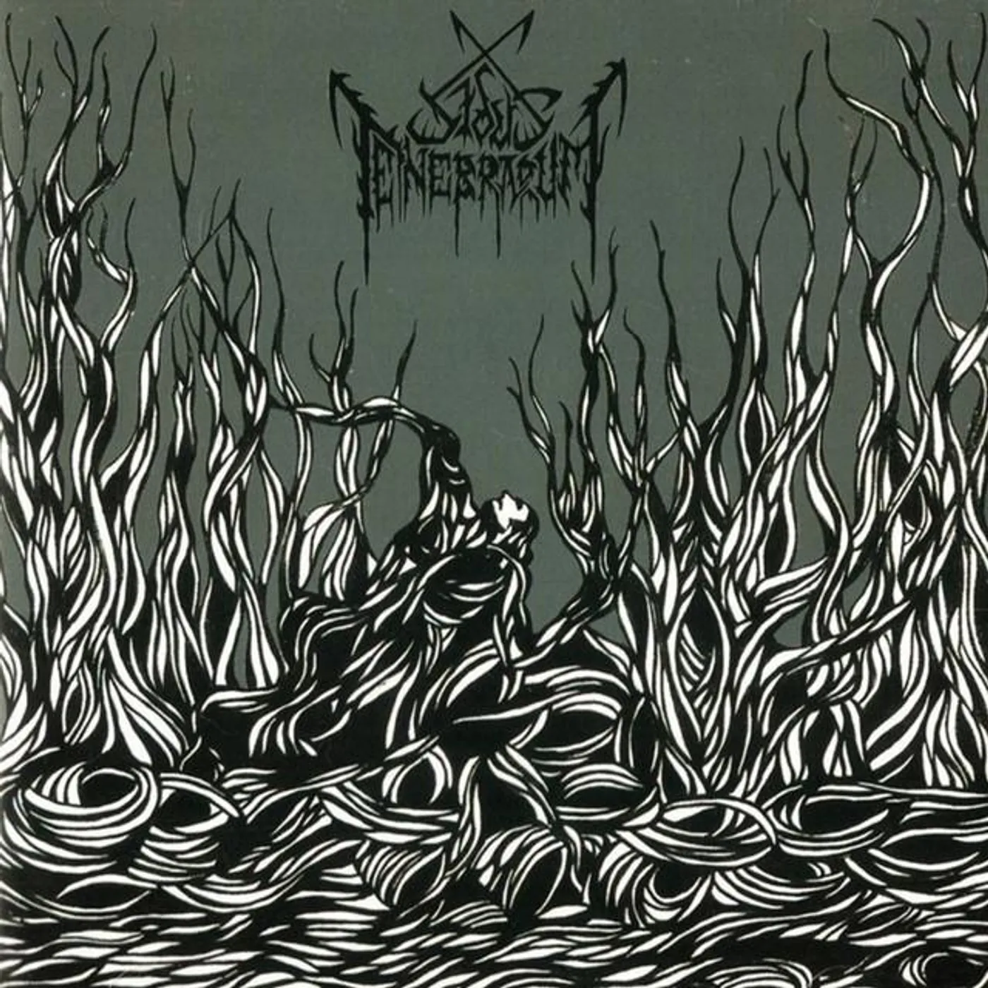 Sidus Tenebrarum
