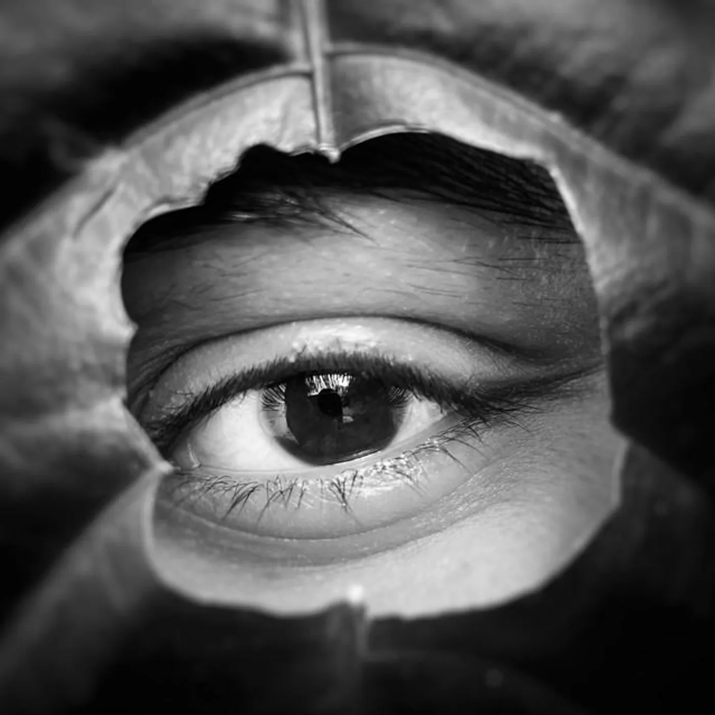 Sight of You Brand Page