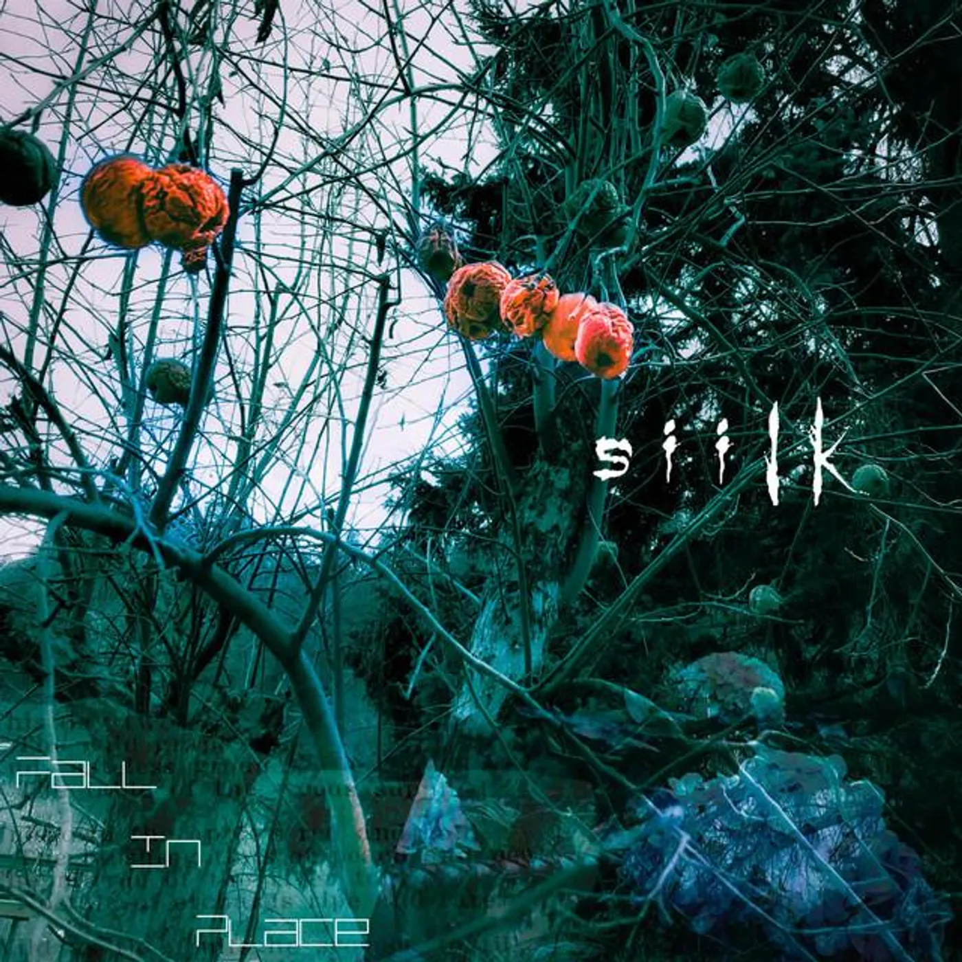 Siilk