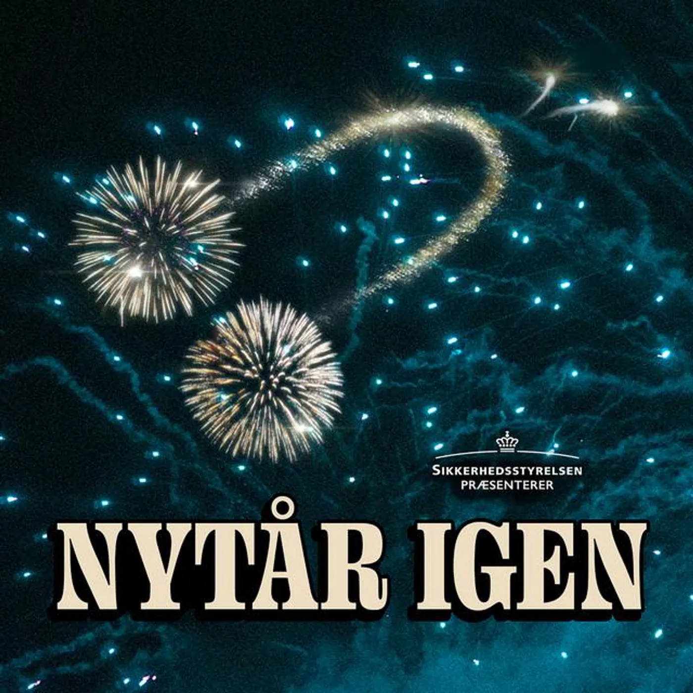 Sikkerhedsstyrelsen