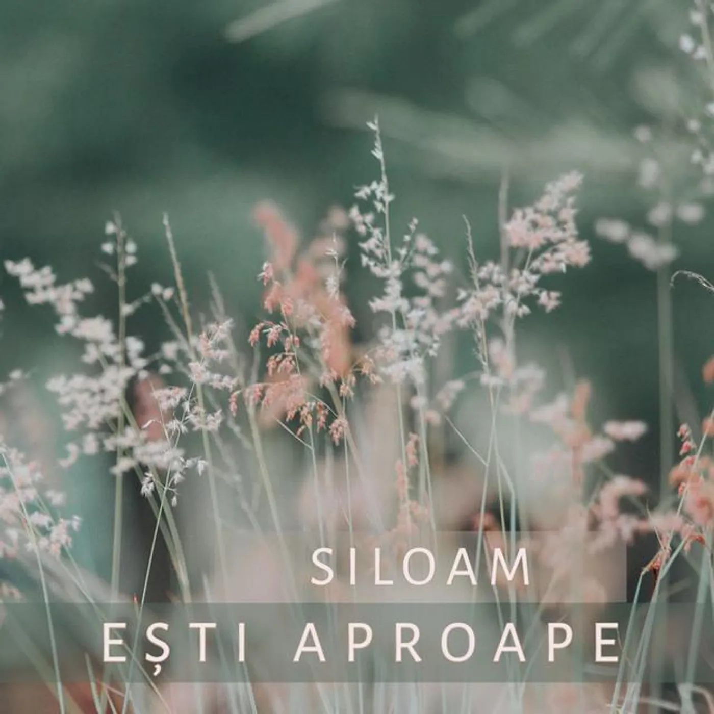 Siloam