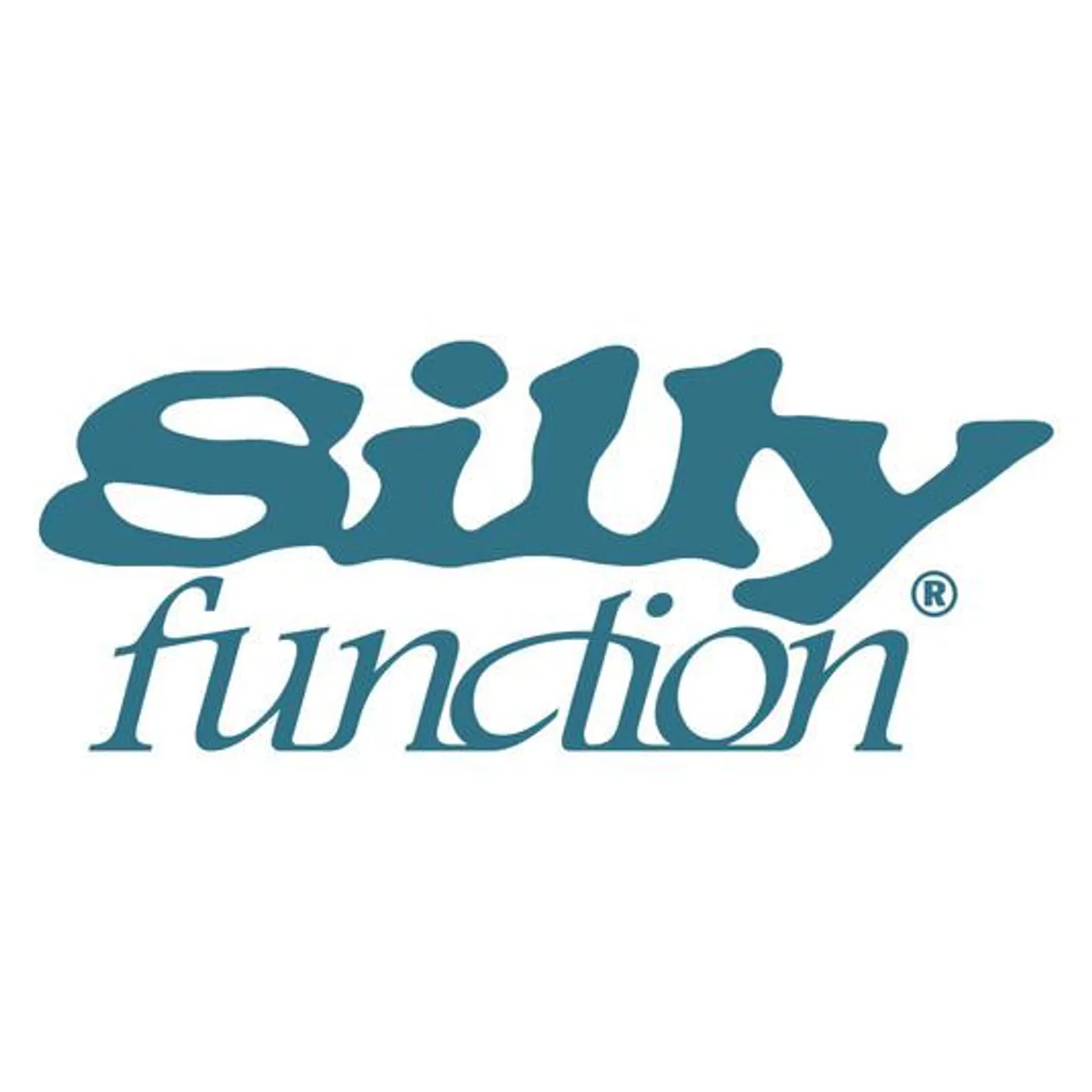 Silly Function