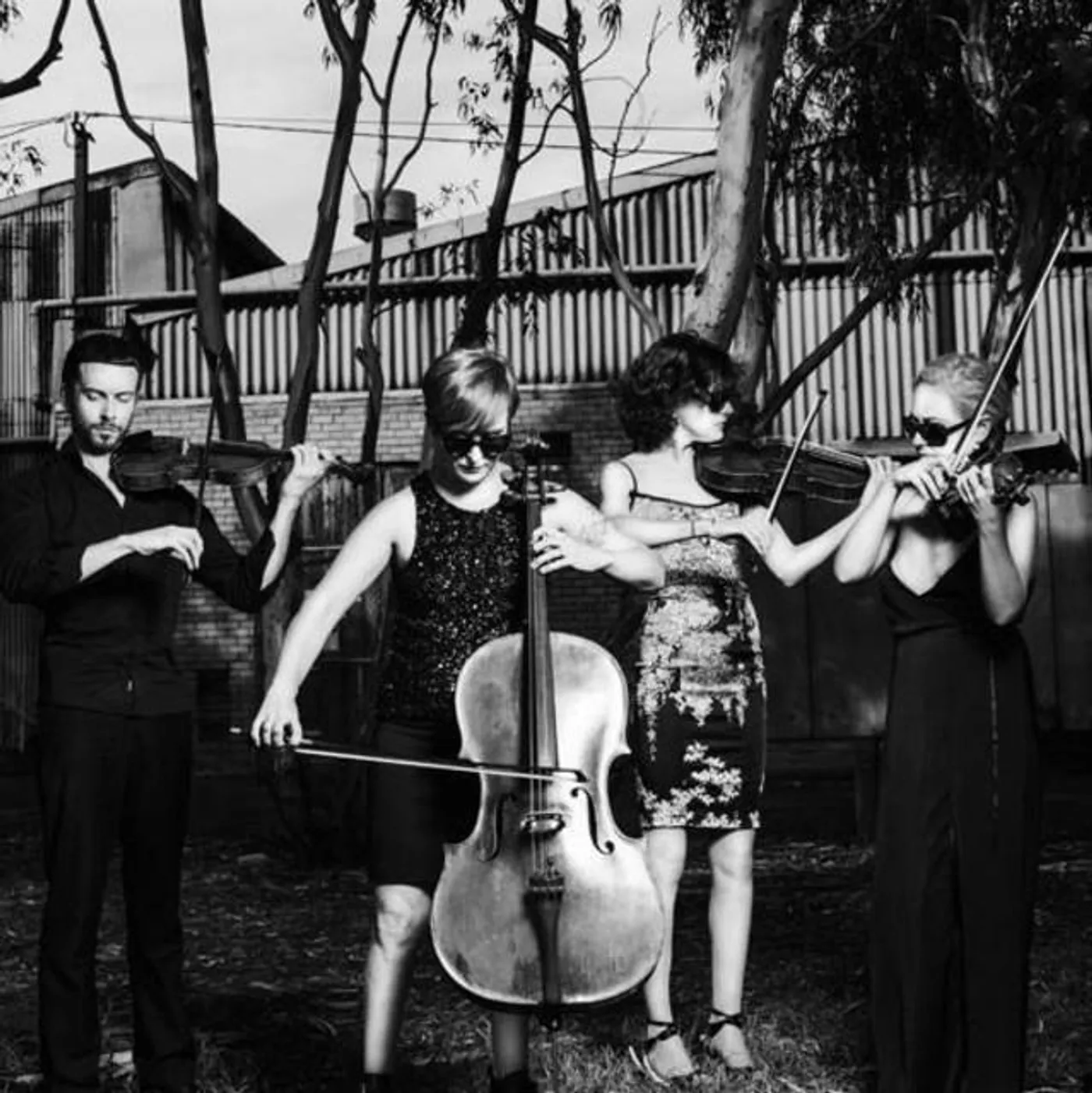 silo string quartet