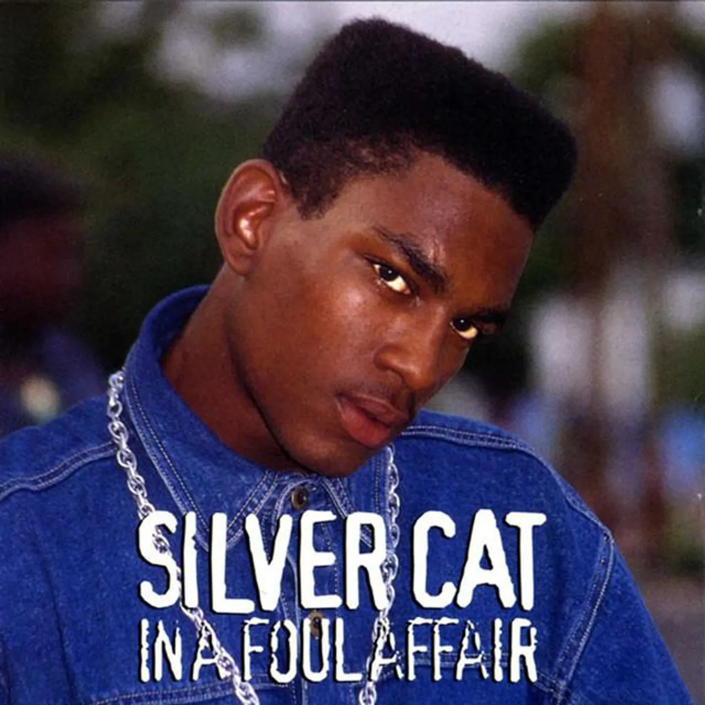 Silver Cat