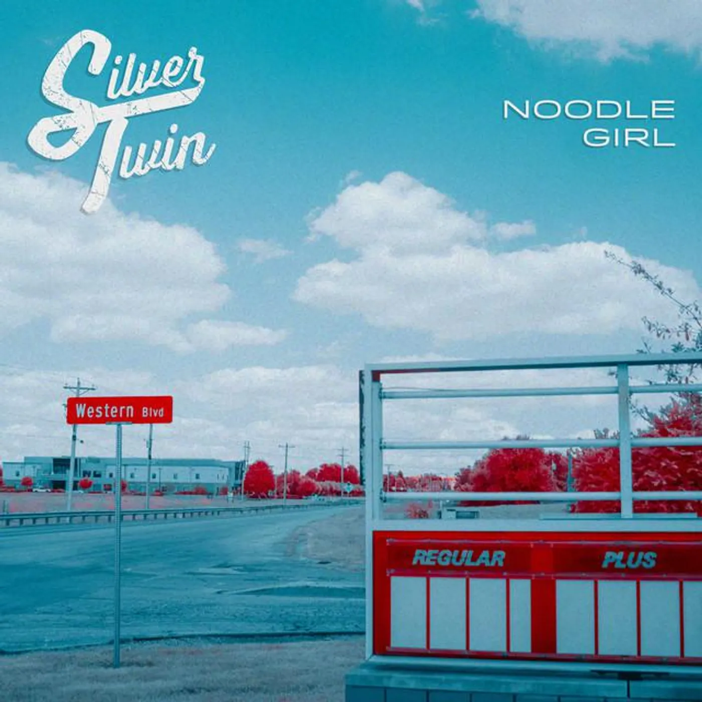 Silver Twin