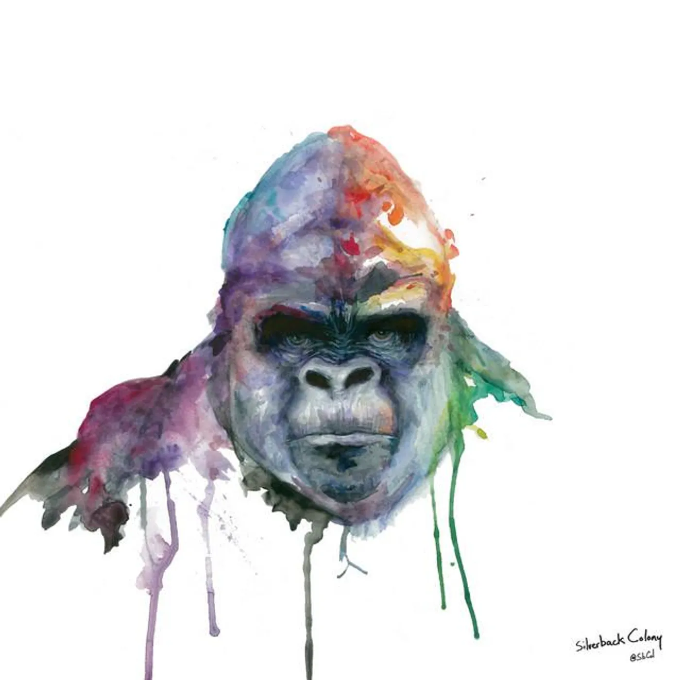 Silverback Colony Brand Page