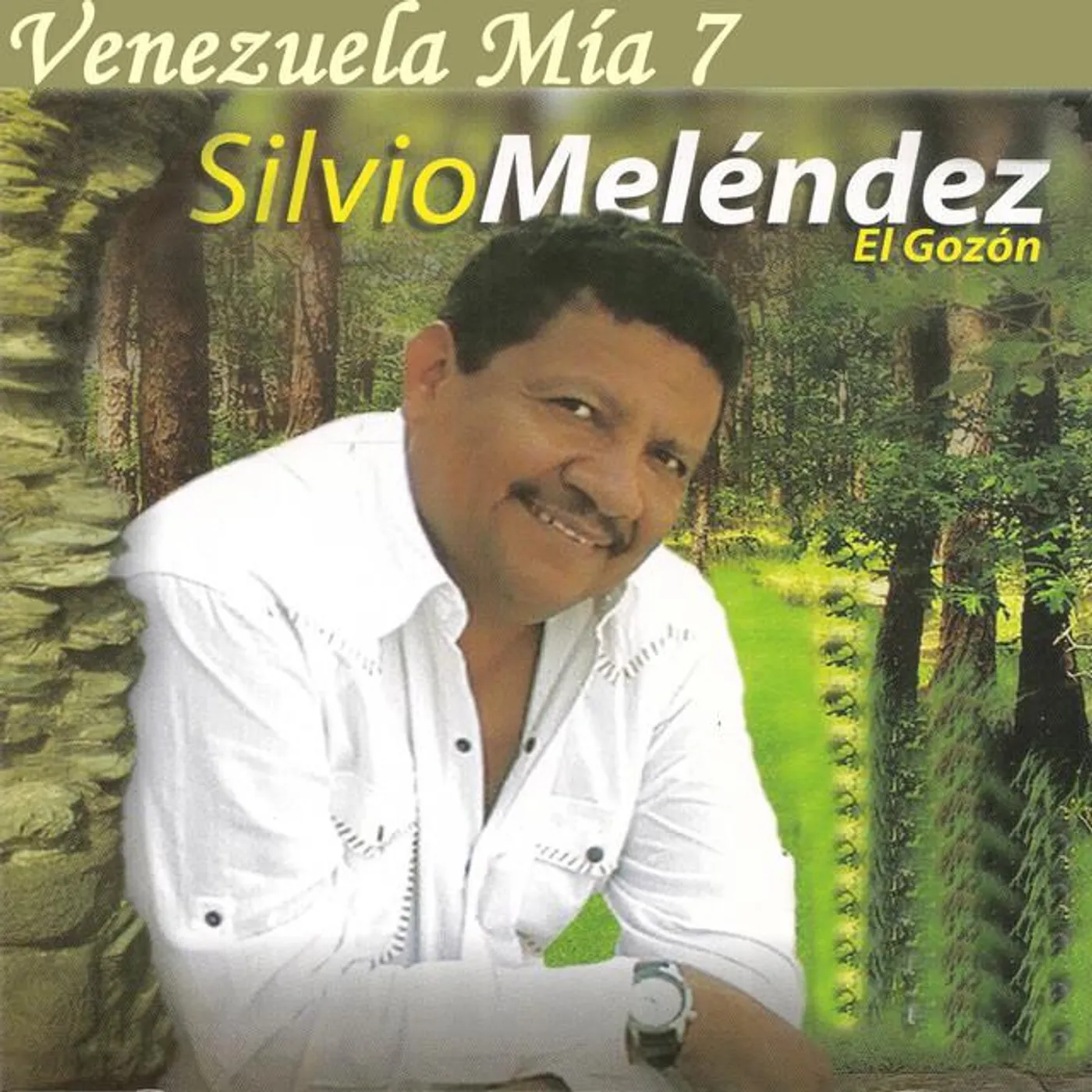 Silvio Meléndez