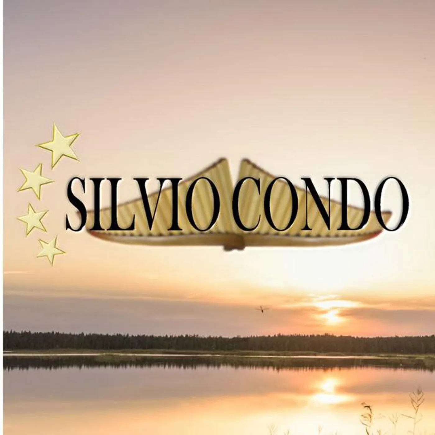 Silvio Condo