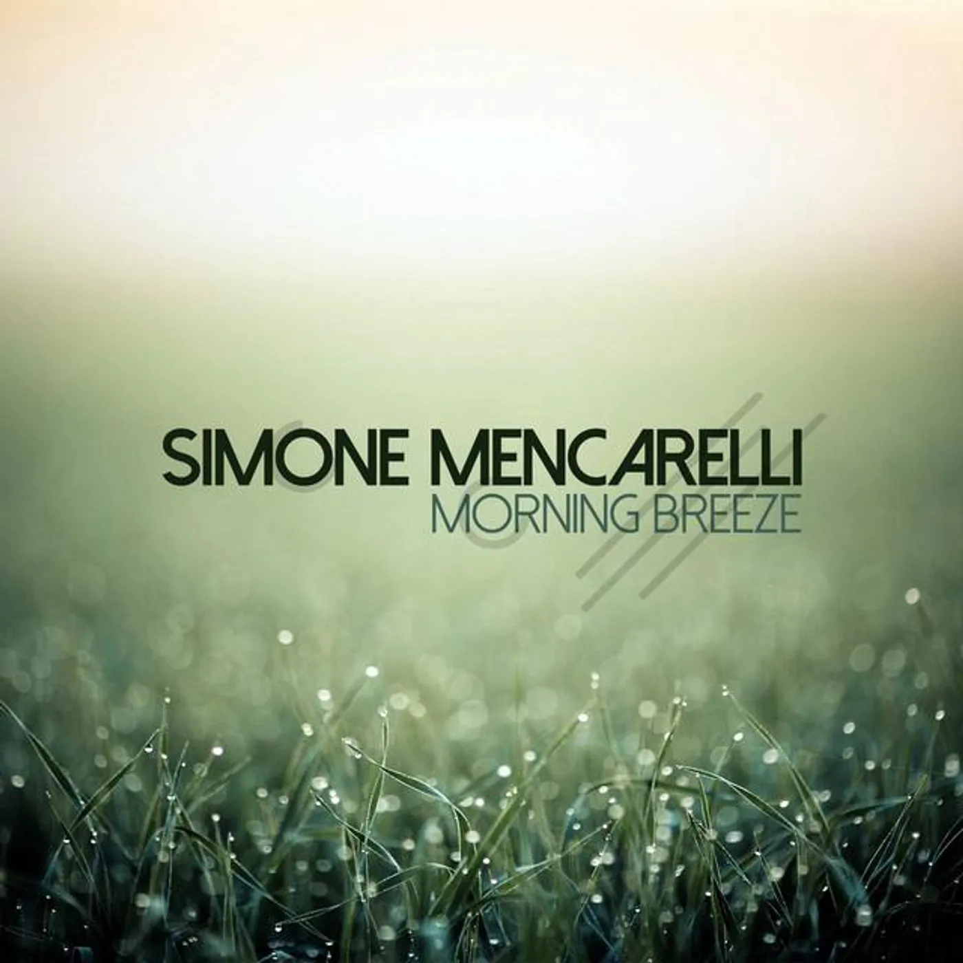 Simone Mencarelli Brand Page