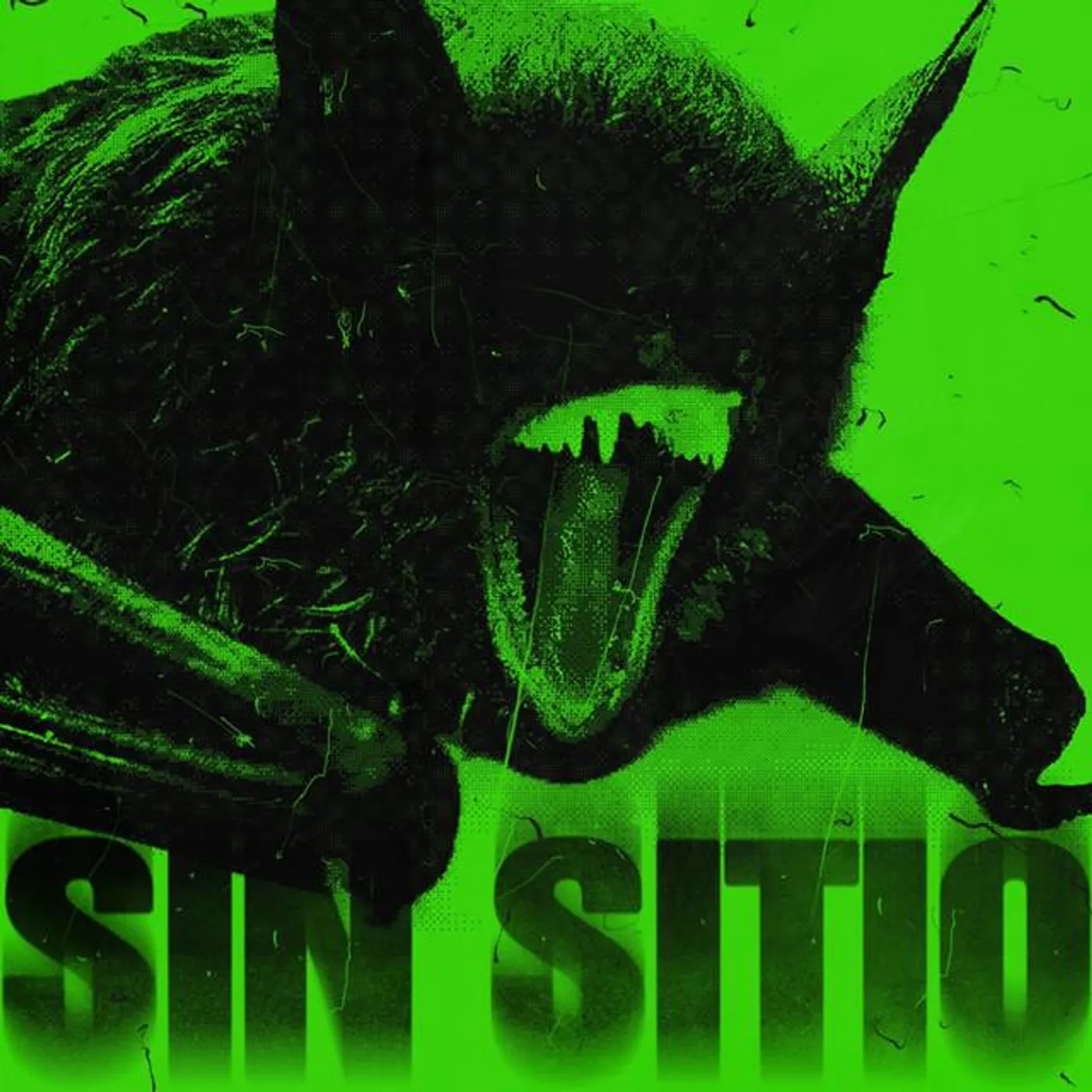 sin-sitio Brand Page