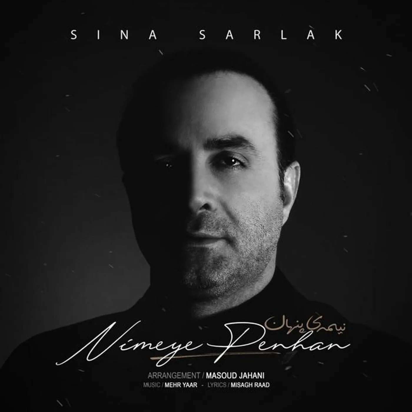 Sina Sarlak Brand Page