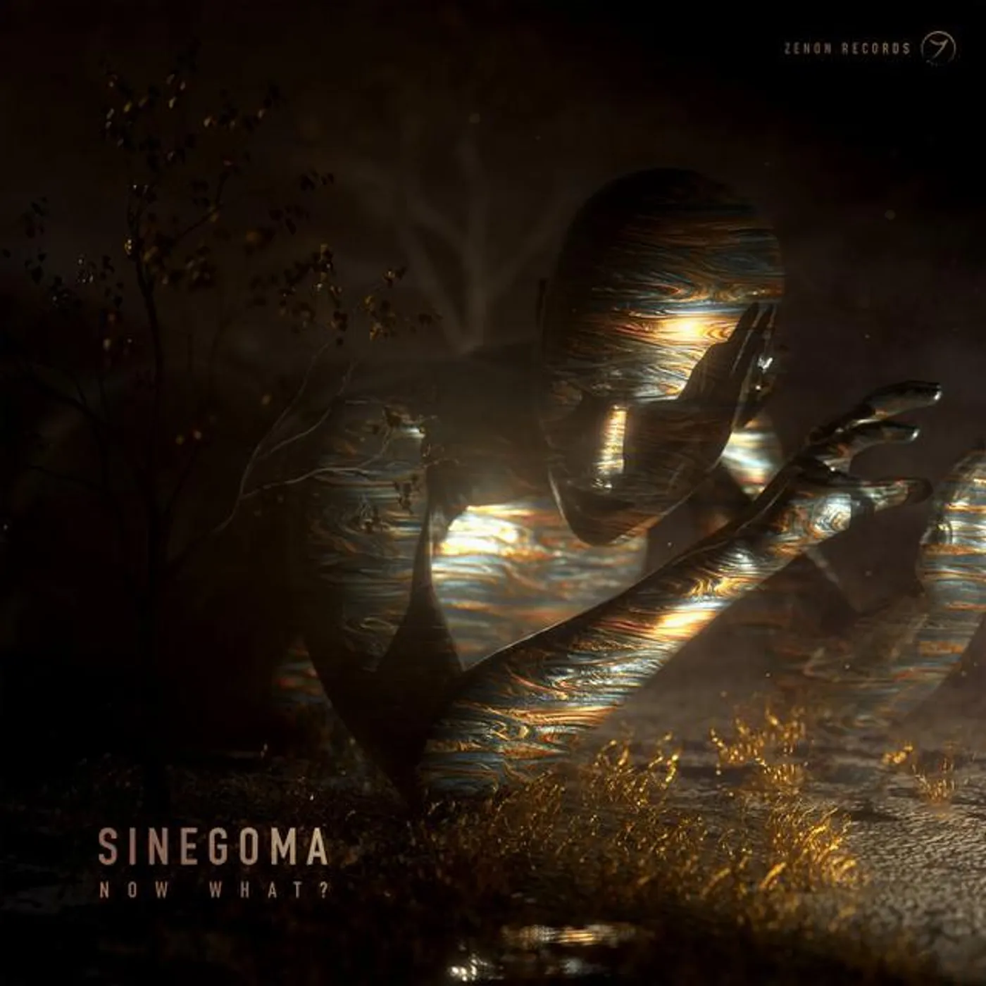 Sinegoma Brand Page