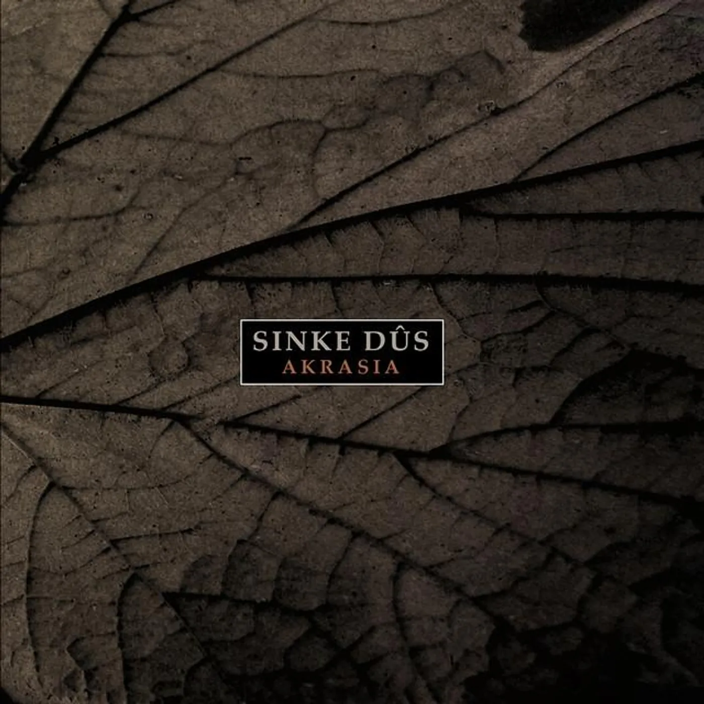 Sinke Dûs
