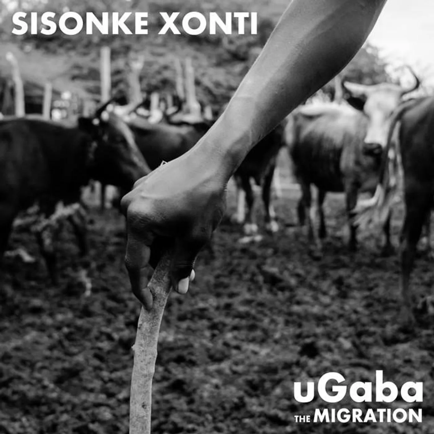 Sisonke Xonti Brand Page