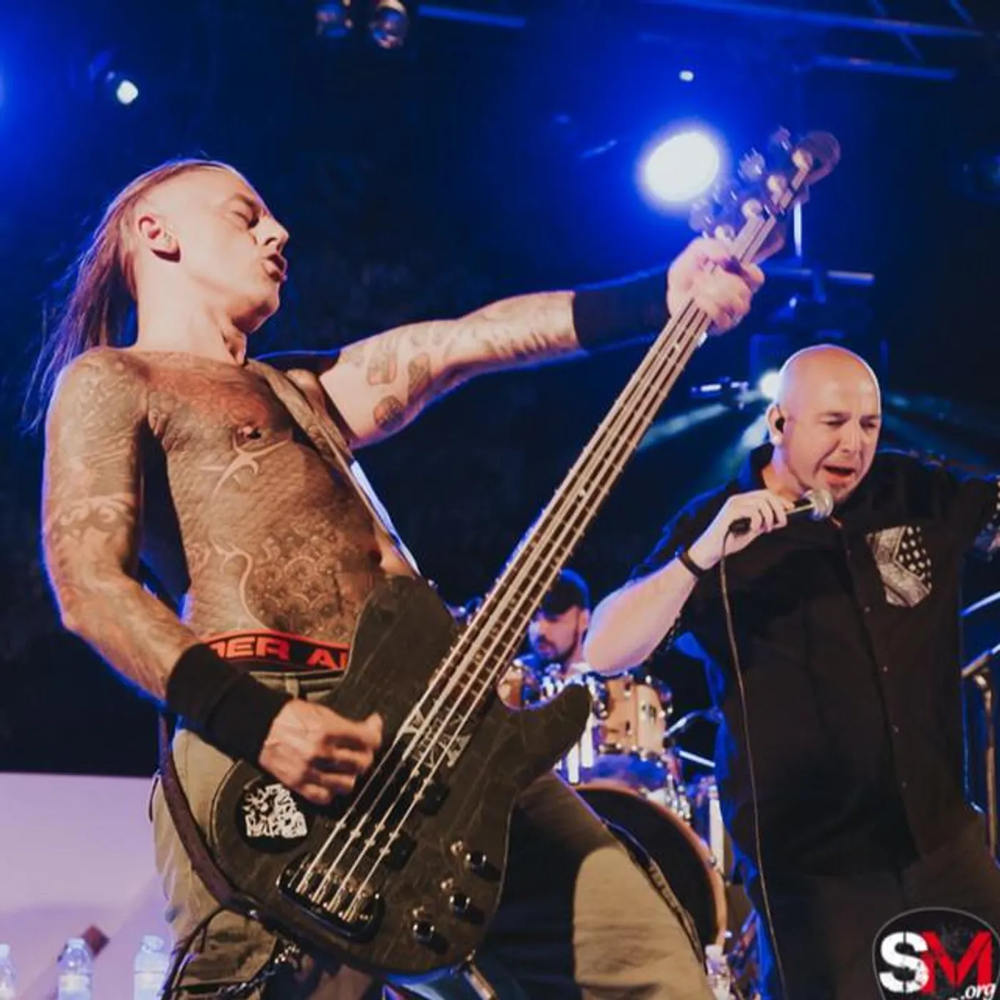 Skunk D.F. Brand Page