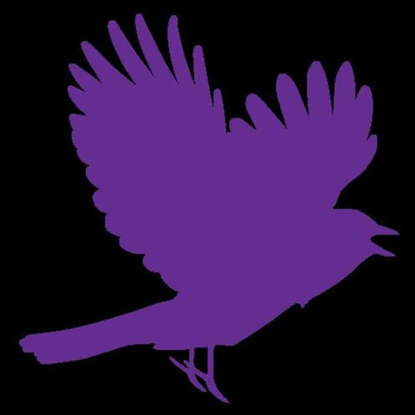 Skylark Vocal Ensemble Brand Page