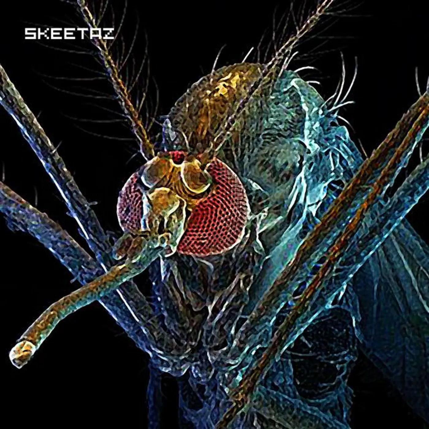 Skeetaz Brand Page